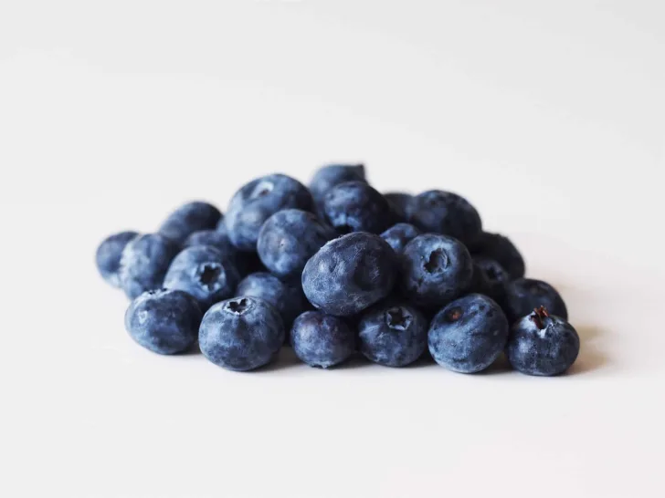 a pile of blueberries before being prepared for babies starting solid food