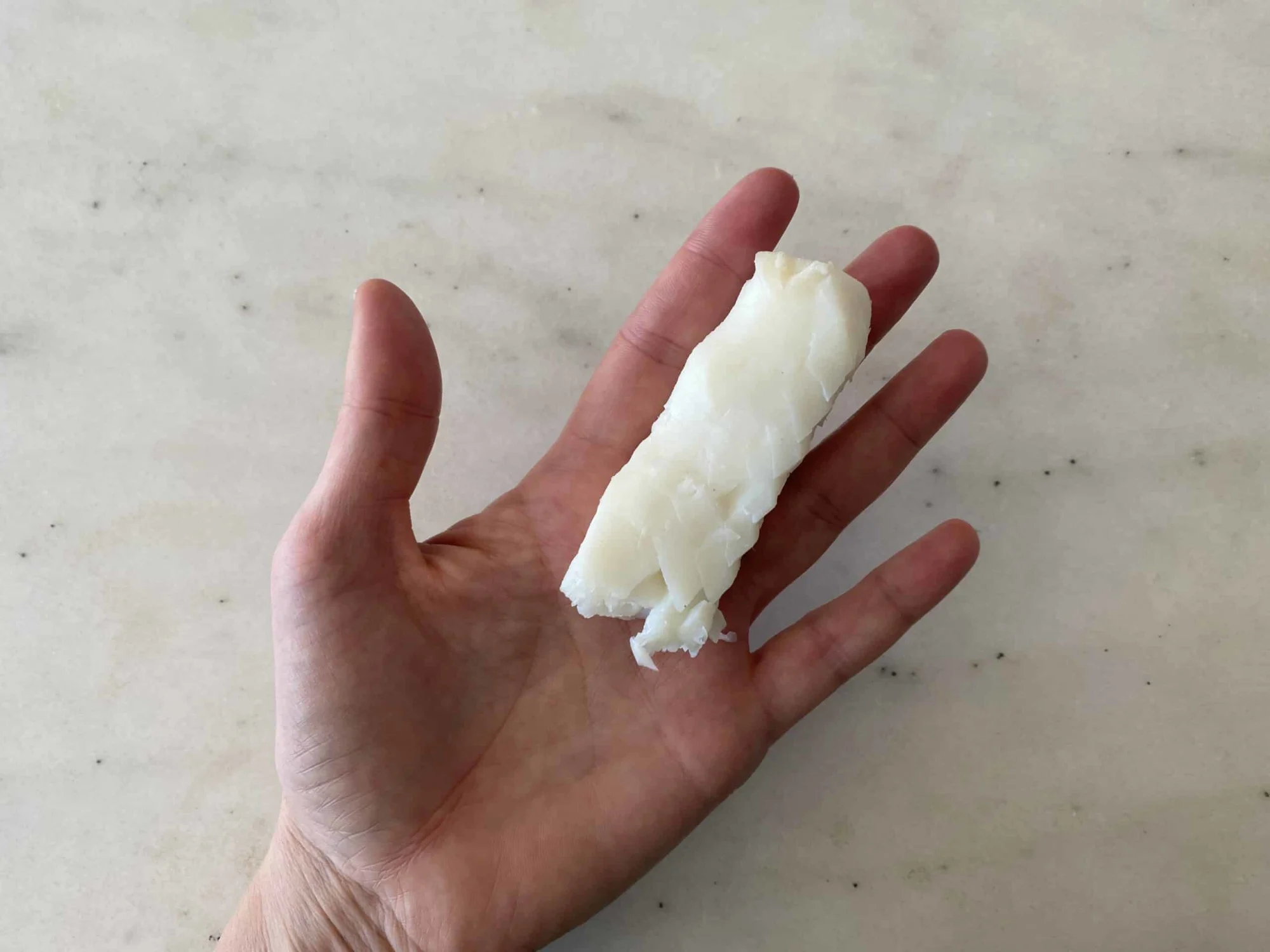 a hand holding a cooked halibut filet for babies 6 months+