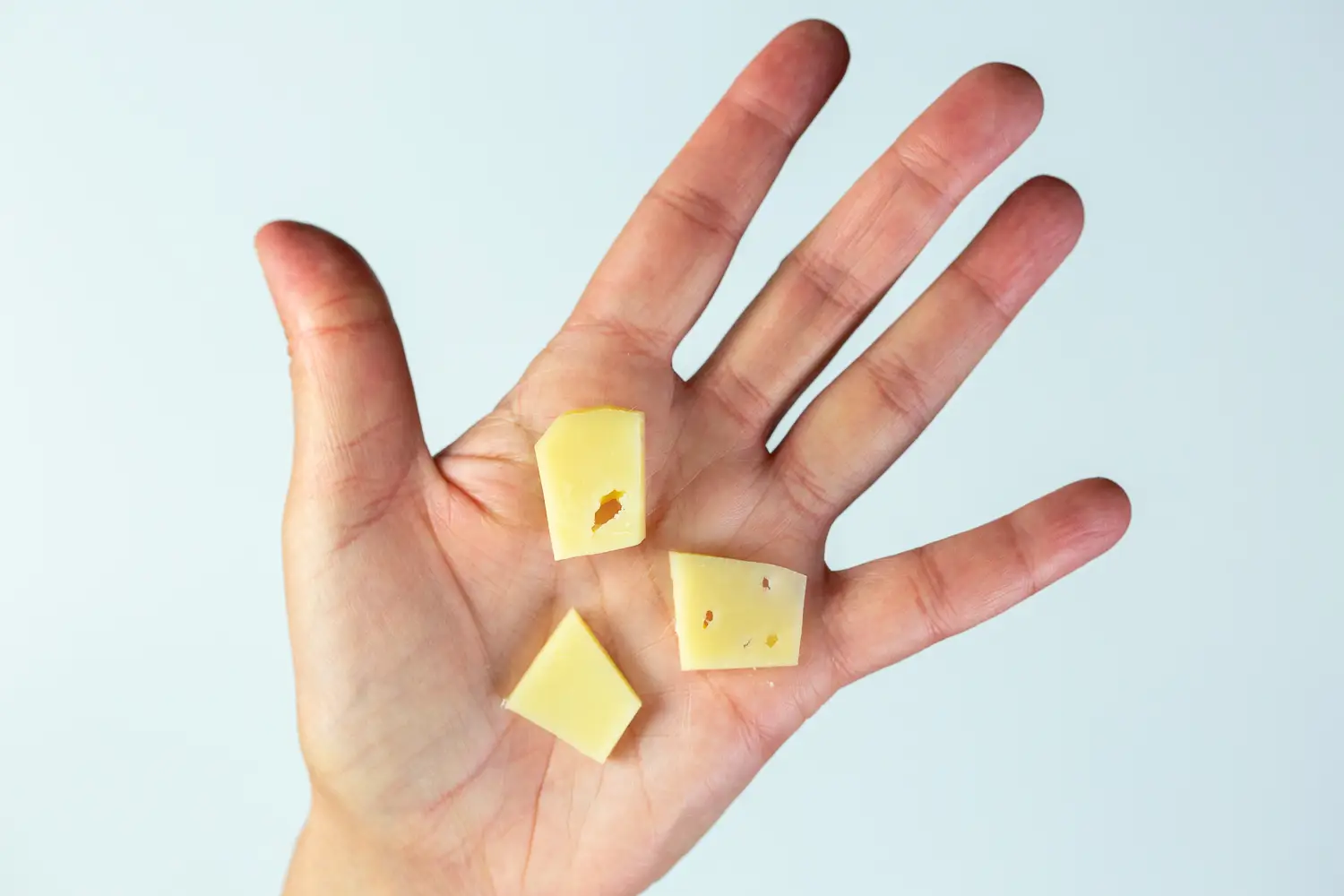 a photograph of a hand holding three flat bite sized pieces of fontina cheese