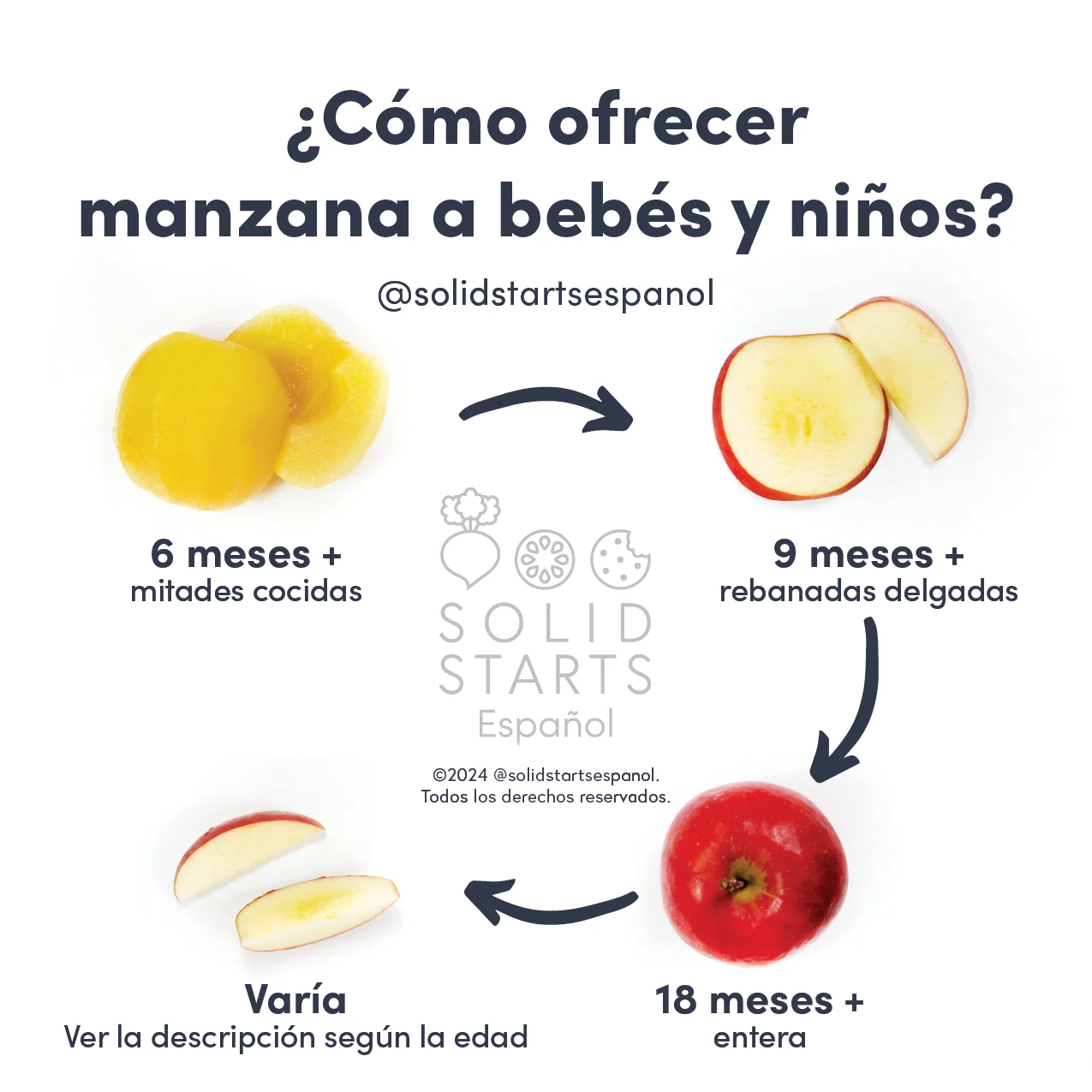 an infographic showing how to serve apple to babies and toddlers: cooked halves for 6 months+, thin slices for 9 months+, a whole raw apple for 18 months+, and raw and quartered for 24 months+
