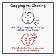 Babies Gagging Vs Choking When Starting Solids Solid Starts