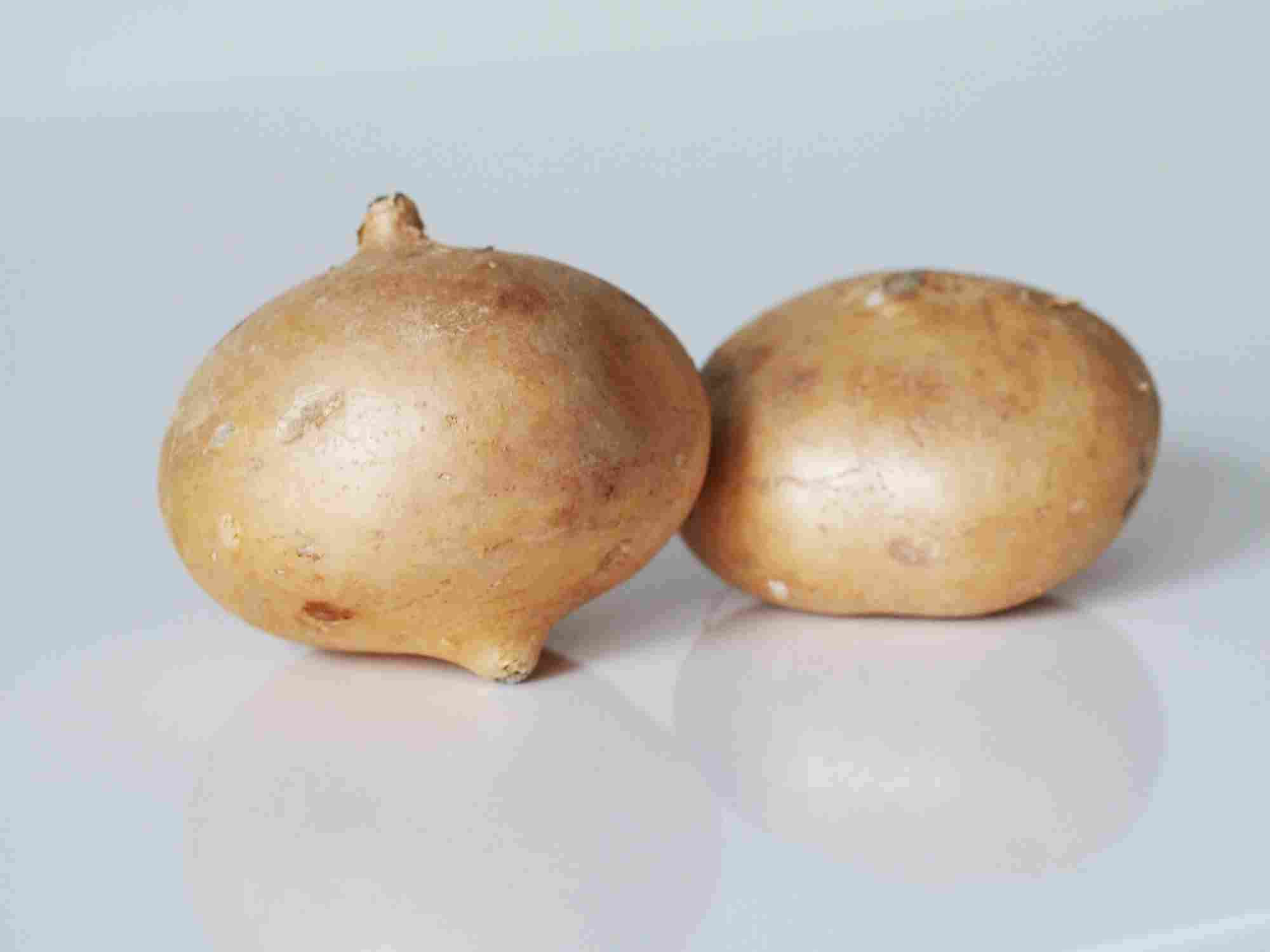 Jicama for Babies Can Babies Eat Jicama When Can Babies Eat Jicama