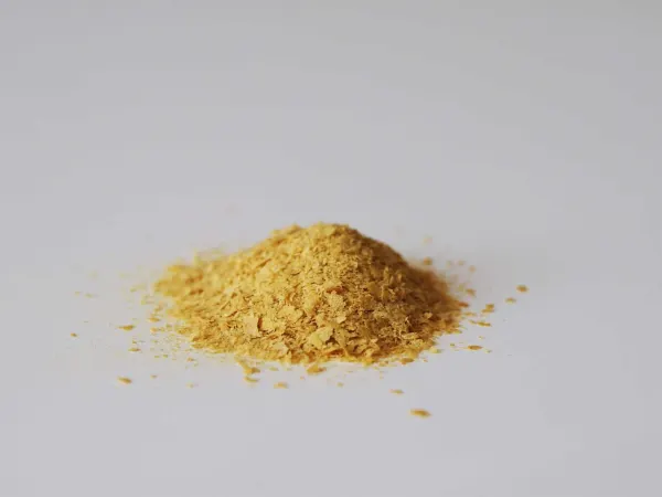 a pile of nutritional yeast before being prepared for babies starting solid food