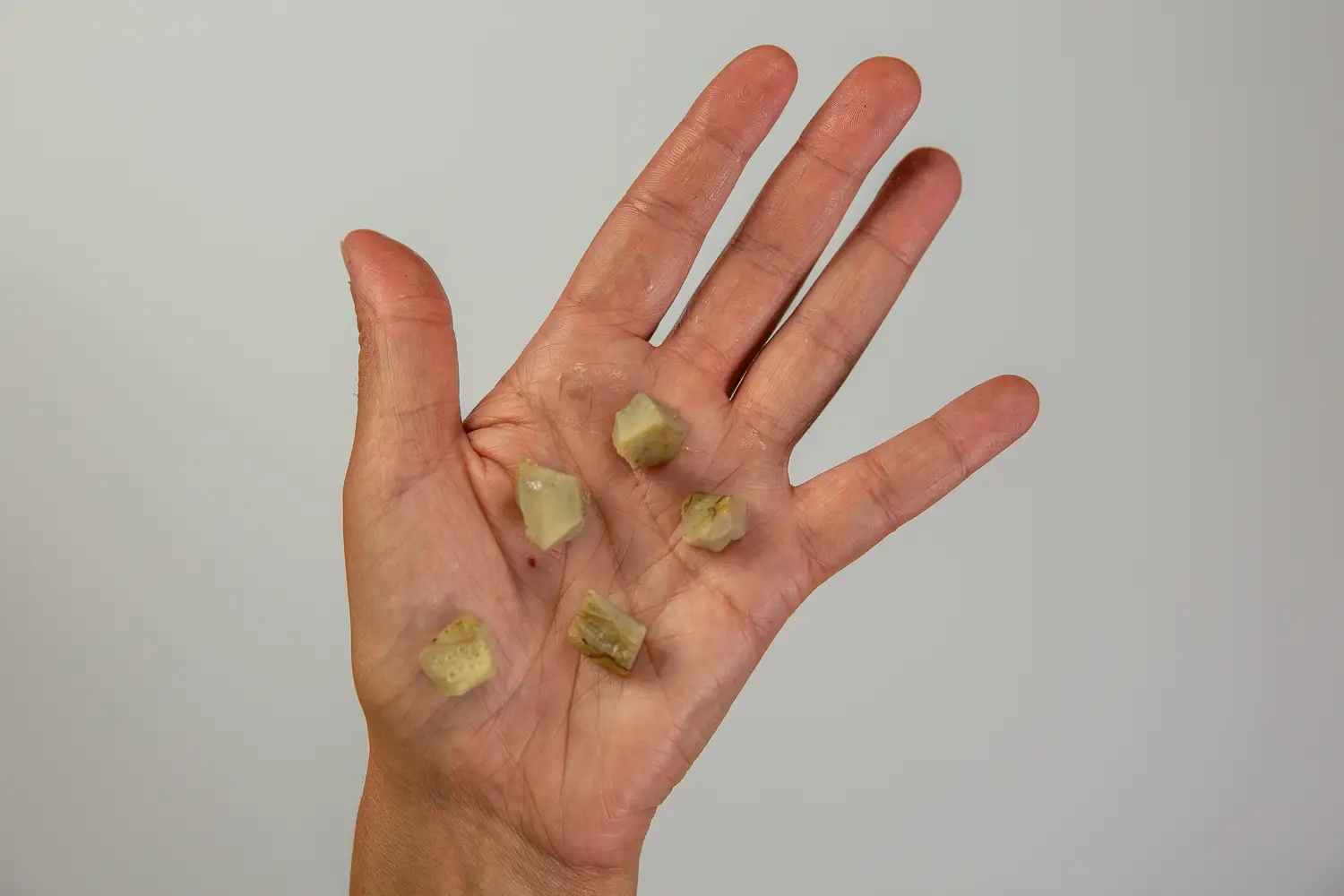 a photograph of a hand holding five bite sized pieces of cooked artichoke heart