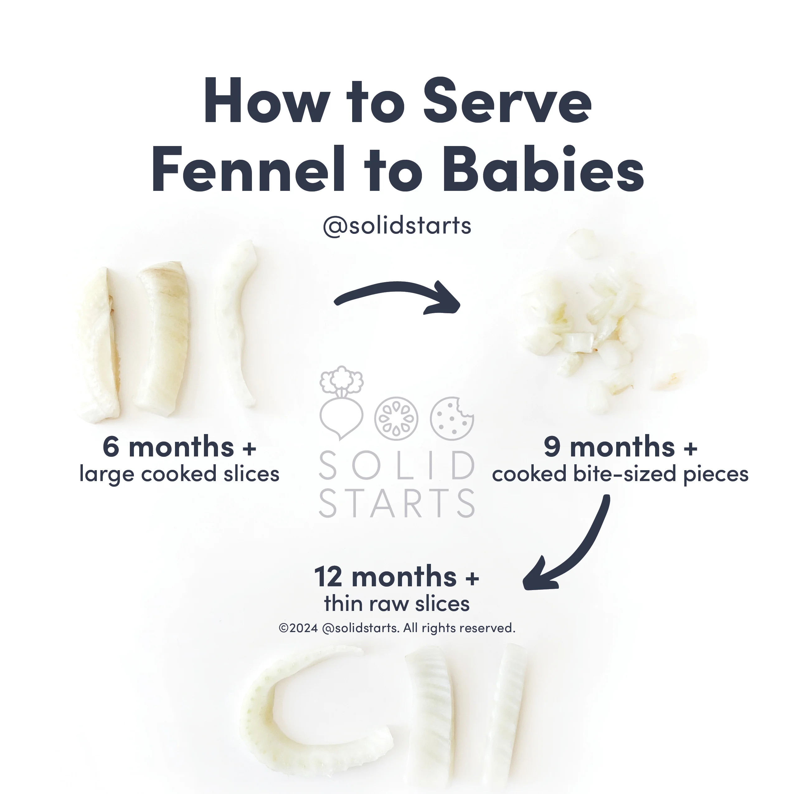 an infographic that reads how to cut fennel for babies and shows strips of cooked fennel for 6 months and up, small pieces of cooked fennel for 9 mos and up and raw for 12 mos and up