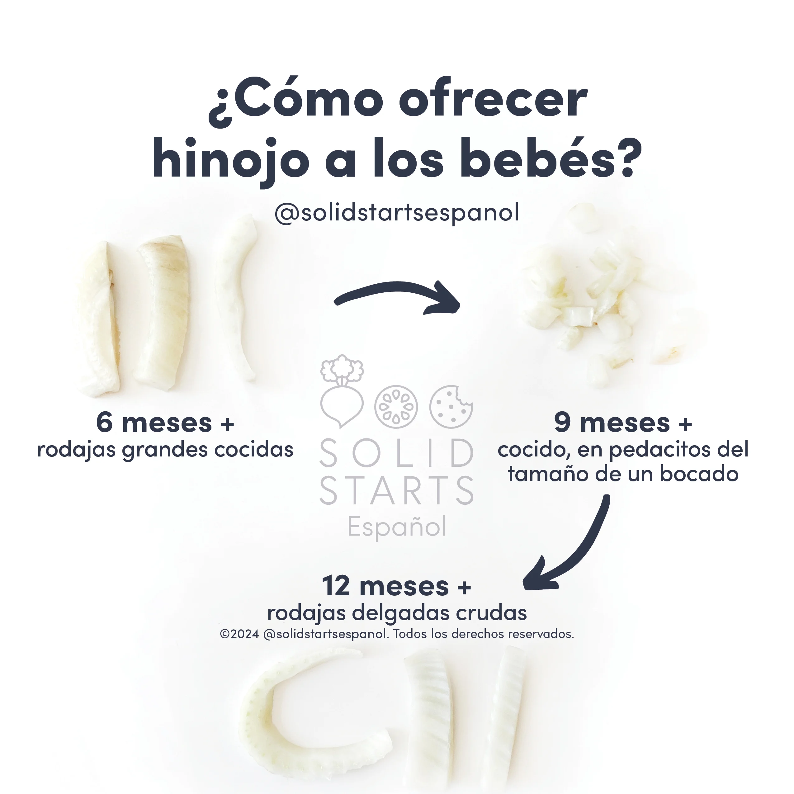 an infographic that reads how to cut fennel for babies and shows strips of cooked fennel for 6 months and up, small pieces of cooked fennel for 9 mos and up and raw for 12 mos and up