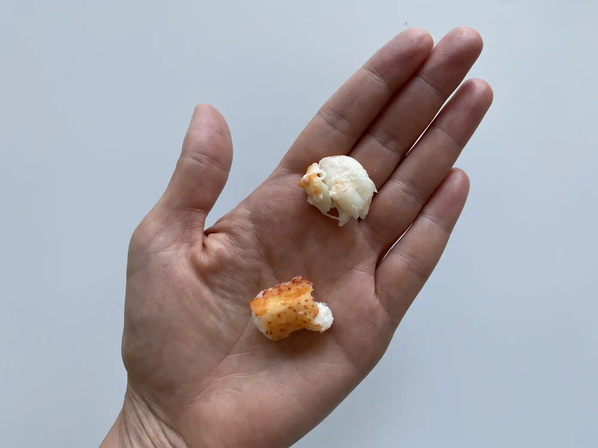 a hand holding two bite-sized pieces of lobster meat