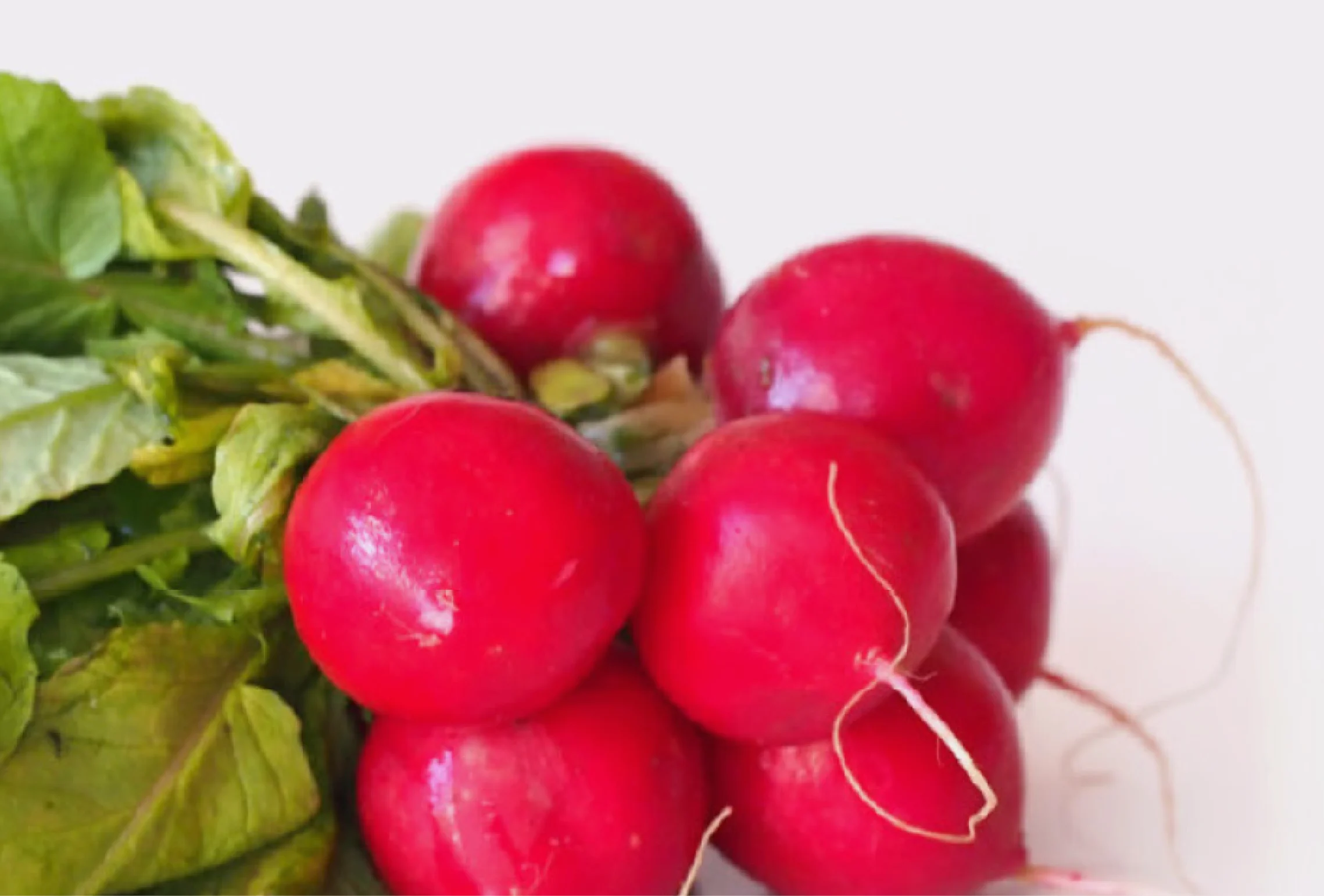 Ways to Boost Nutrition