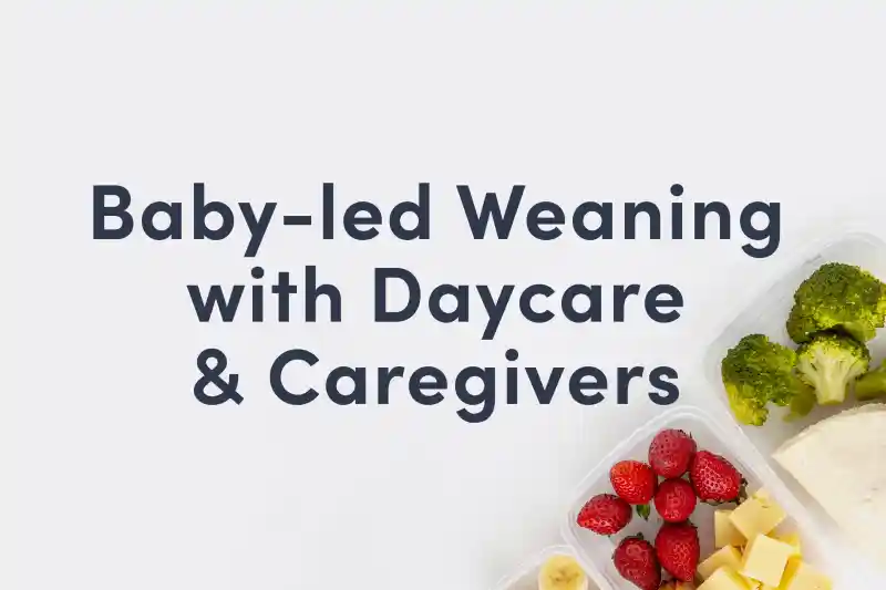 A guide cover that reads "Baby-led Weaning with Daycare & Caregivers" and shows some cheese and berries in a lunch box
