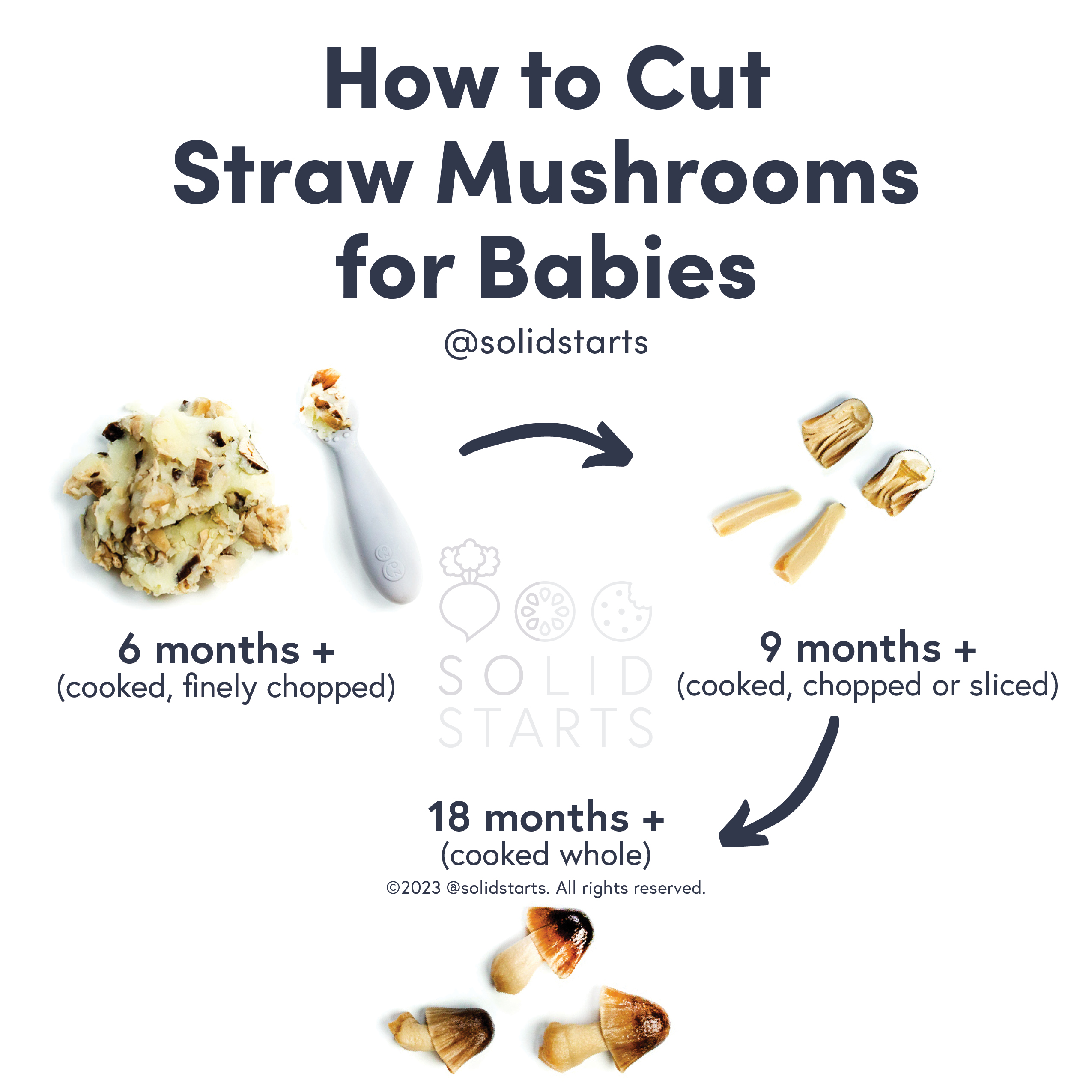Straw Mushroom for Babies - When Can Babies Eat Straw Mushrooms