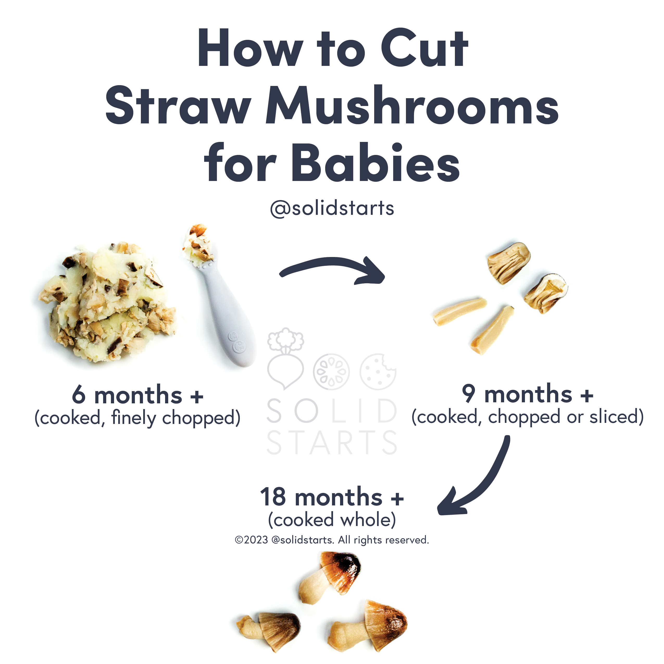 Straw Mushroom for Babies - When Can Babies Eat Straw Mushrooms - Solid  Starts