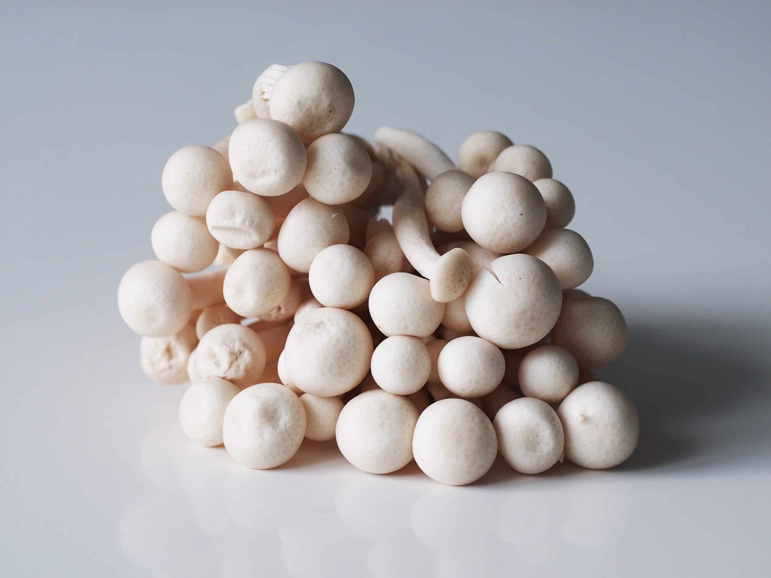 Straw Mushroom for Babies - When Can Babies Eat Straw Mushrooms - Solid  Starts