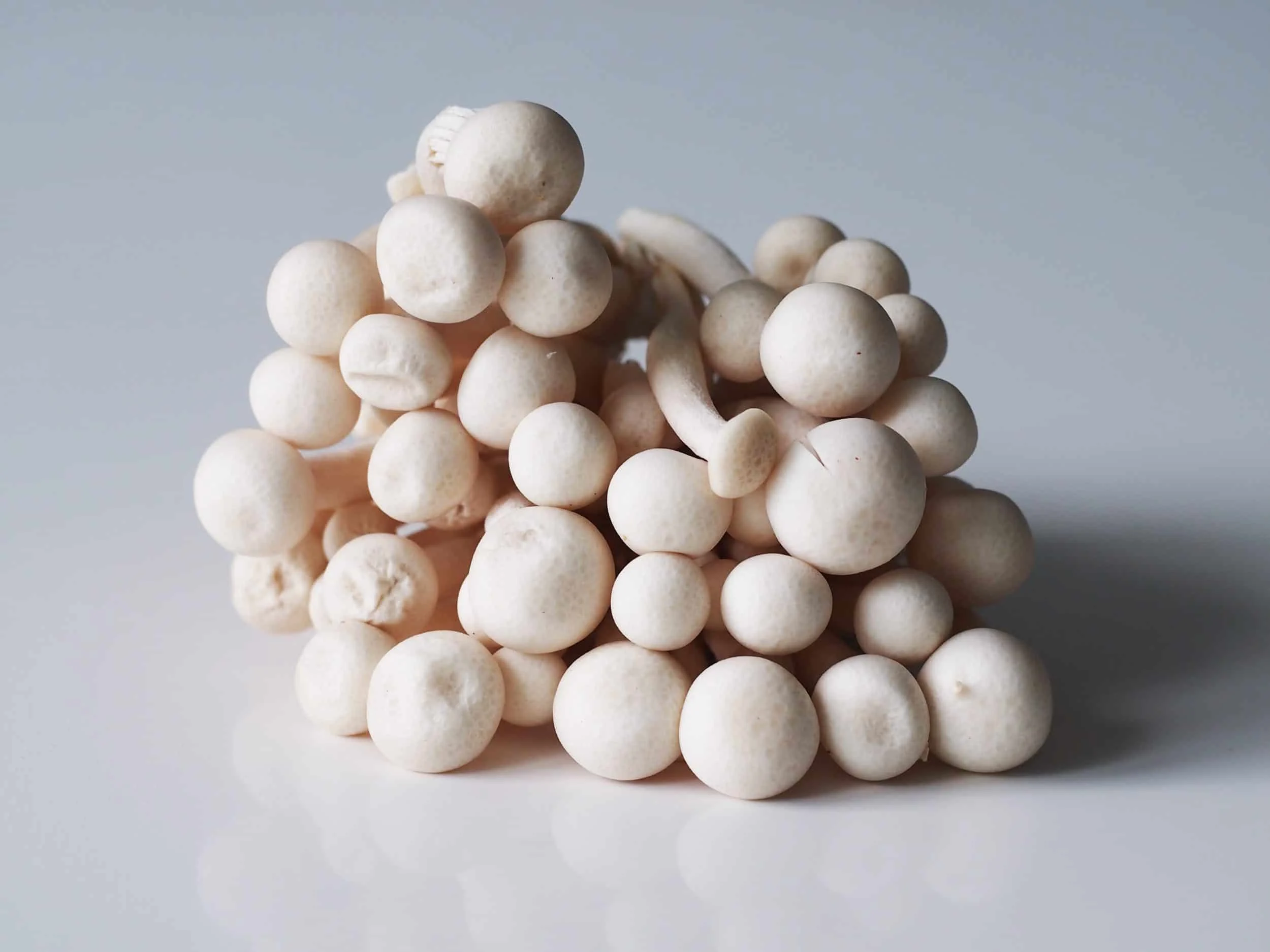 Picture of beech mushrooms