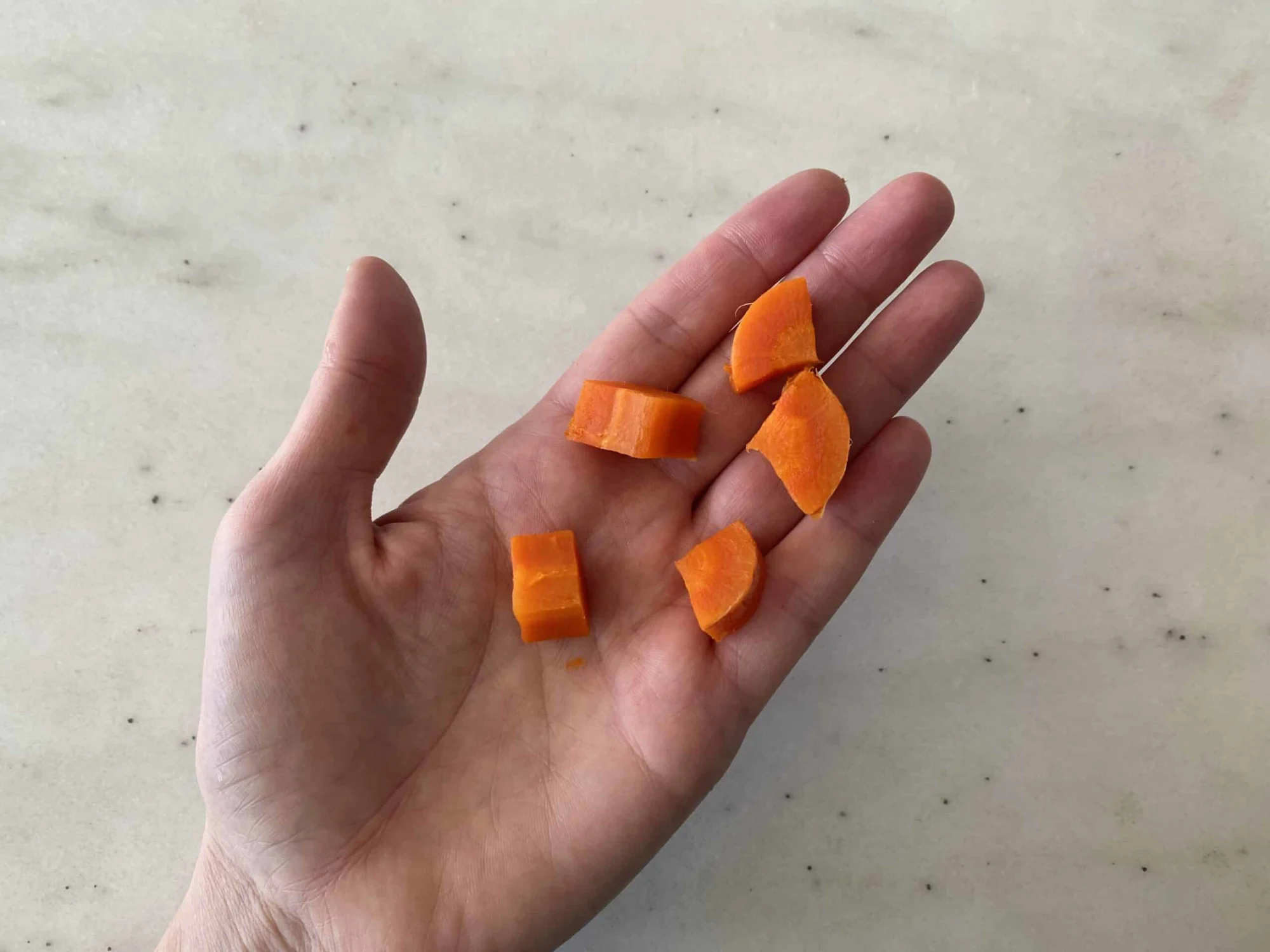 A hand holding bite-sized pieces of cooked carrot for babies 9 months+