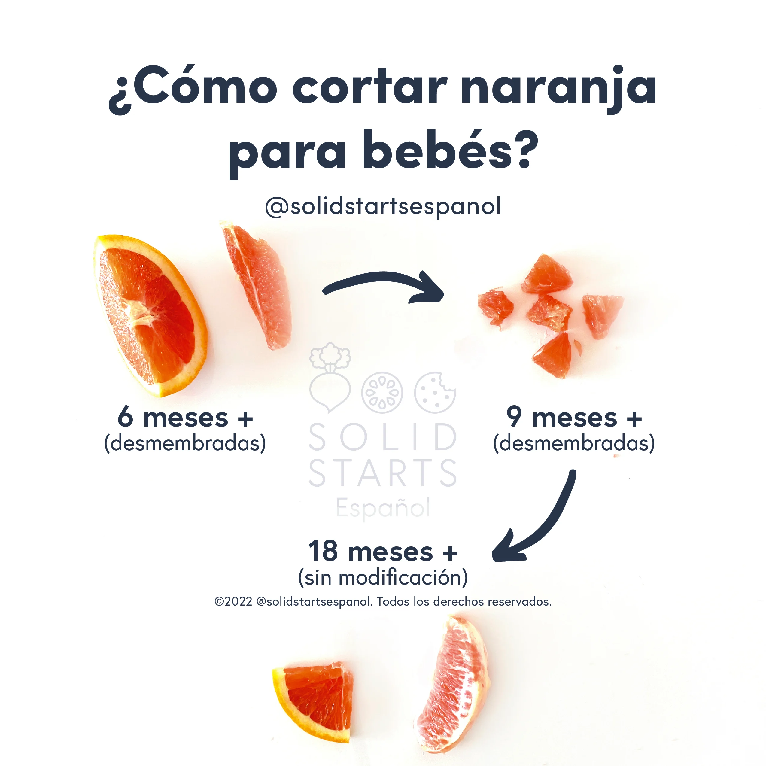 an infographic with the header "how to cut oranges for babies": washed wedges with the peel on and seeds and membrane removed for 6 months+, bite-sized pieces with membrane removed for 9 months+, slices with peel on or with membrane intact for 18 months+