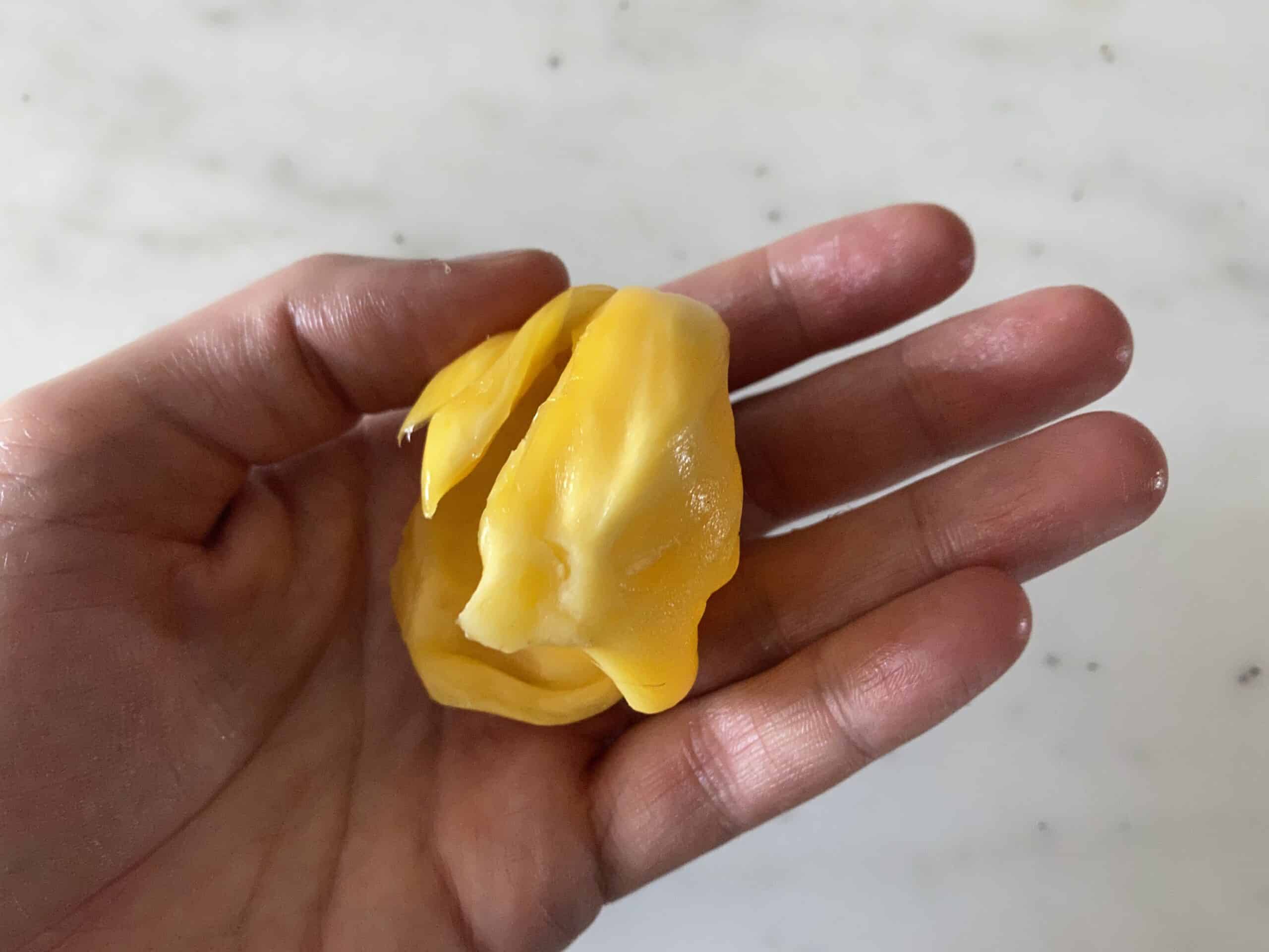 a hand holding a jackfruit flesh pod with the seed removed