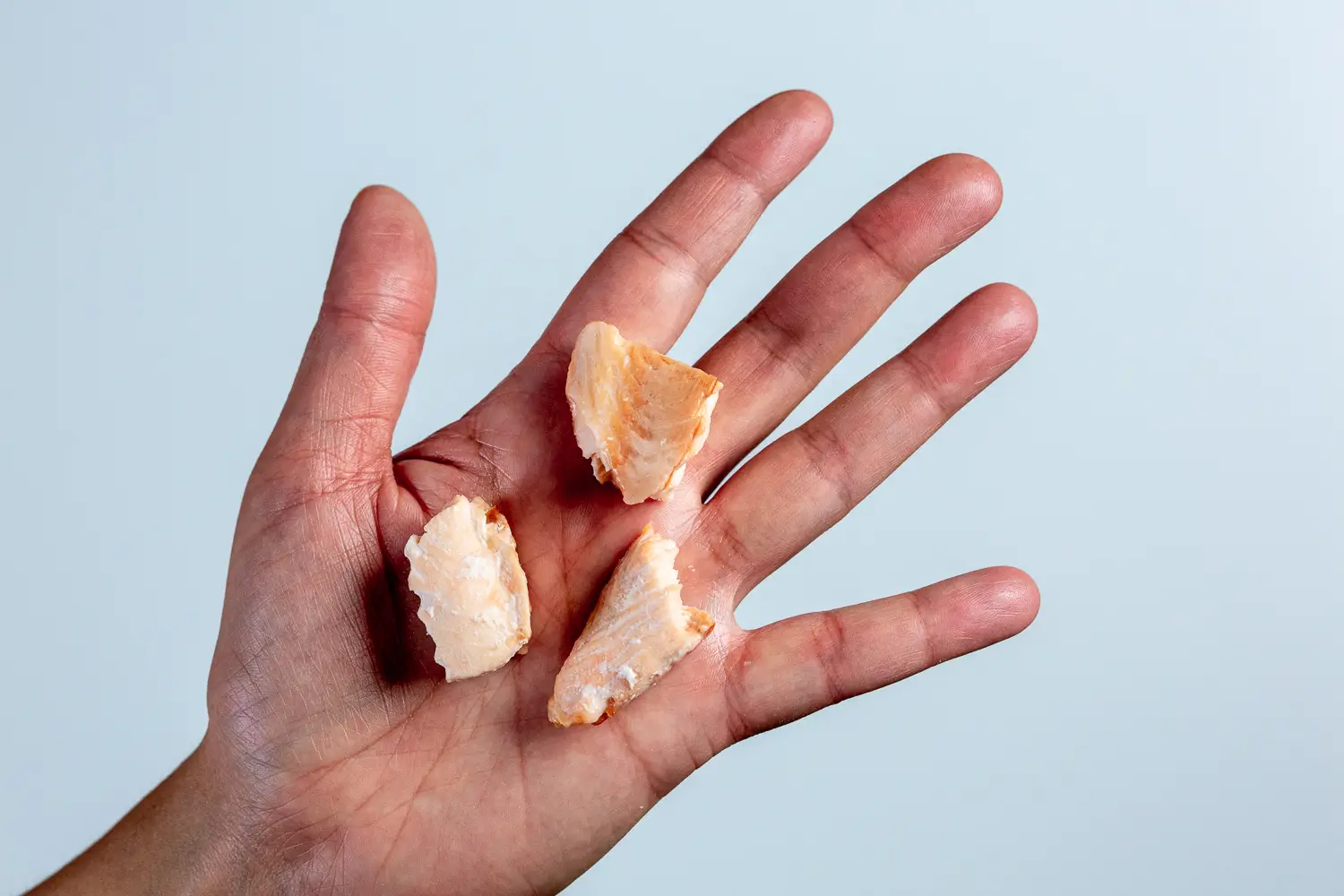 a photograph of a hand holding three bite-sized pieces of cooked, deboned arctic char