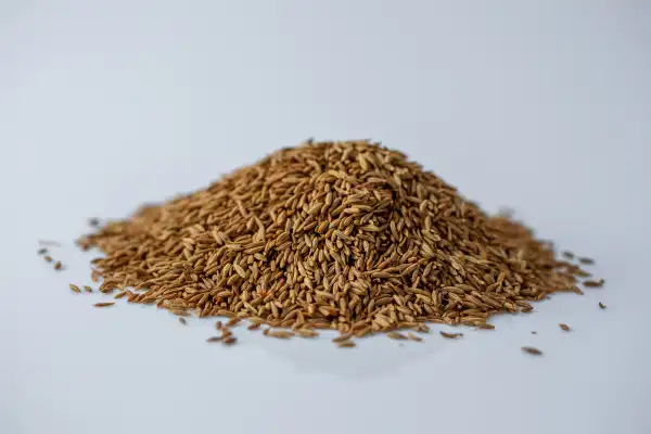 a small pile of cumin seeds on a white background