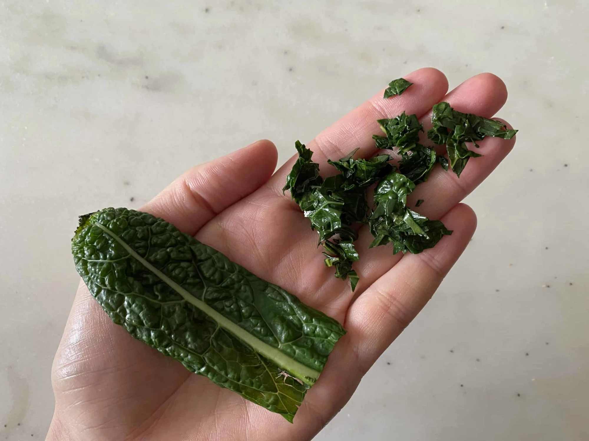 a hand holding a whole cooked kale leaf and minced, cooked kale for babies starting solids
