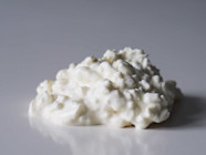Cottage Cheese For Babies Can Babies Eat Cottage Cheese Solid Starts