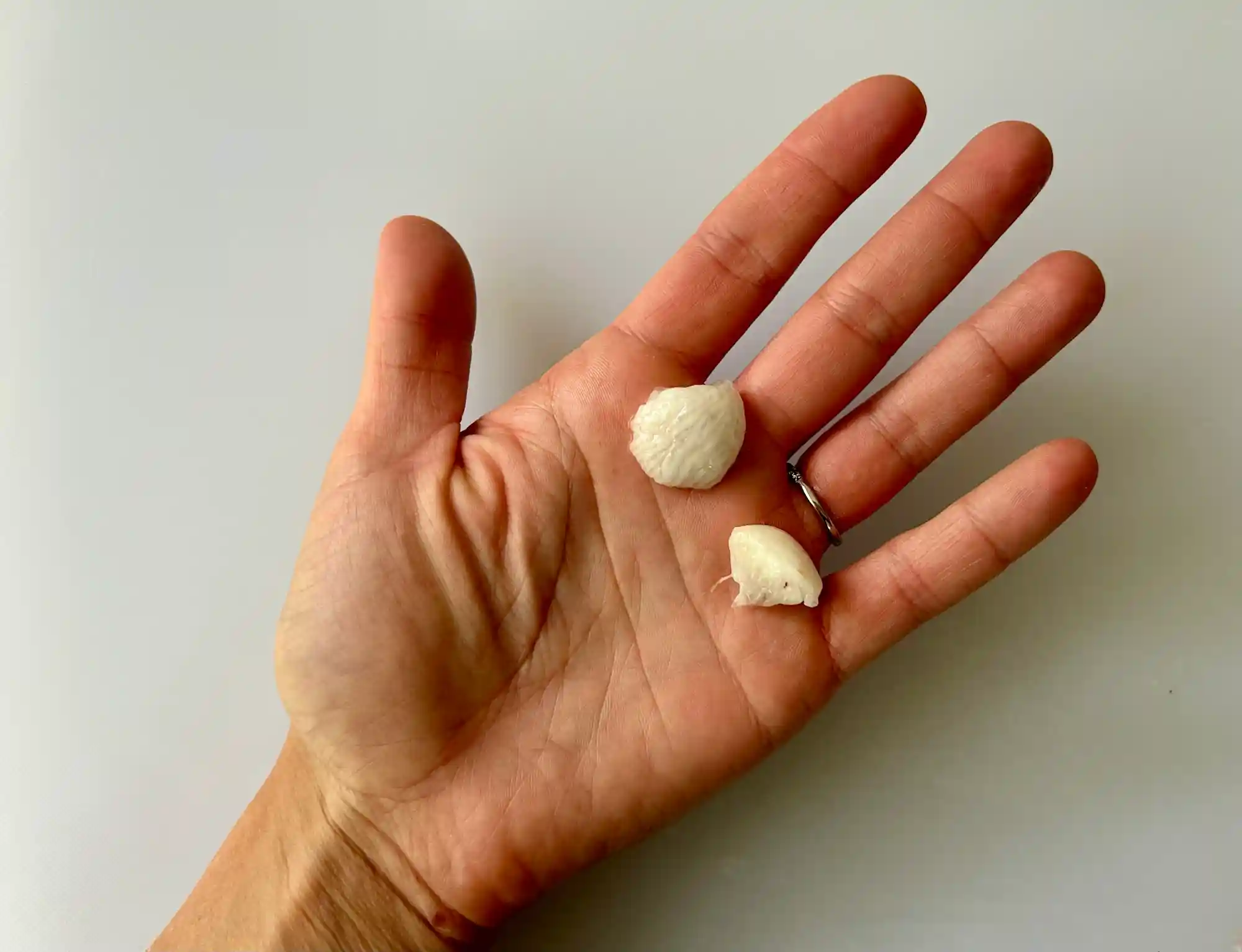 a photograph of two bite-sized pieces of de-seeded mangosteen in the palm of a hand