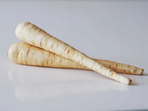 two parsnips on a table before being prepared for babies starting solid food