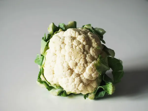 a head of white cauliflower