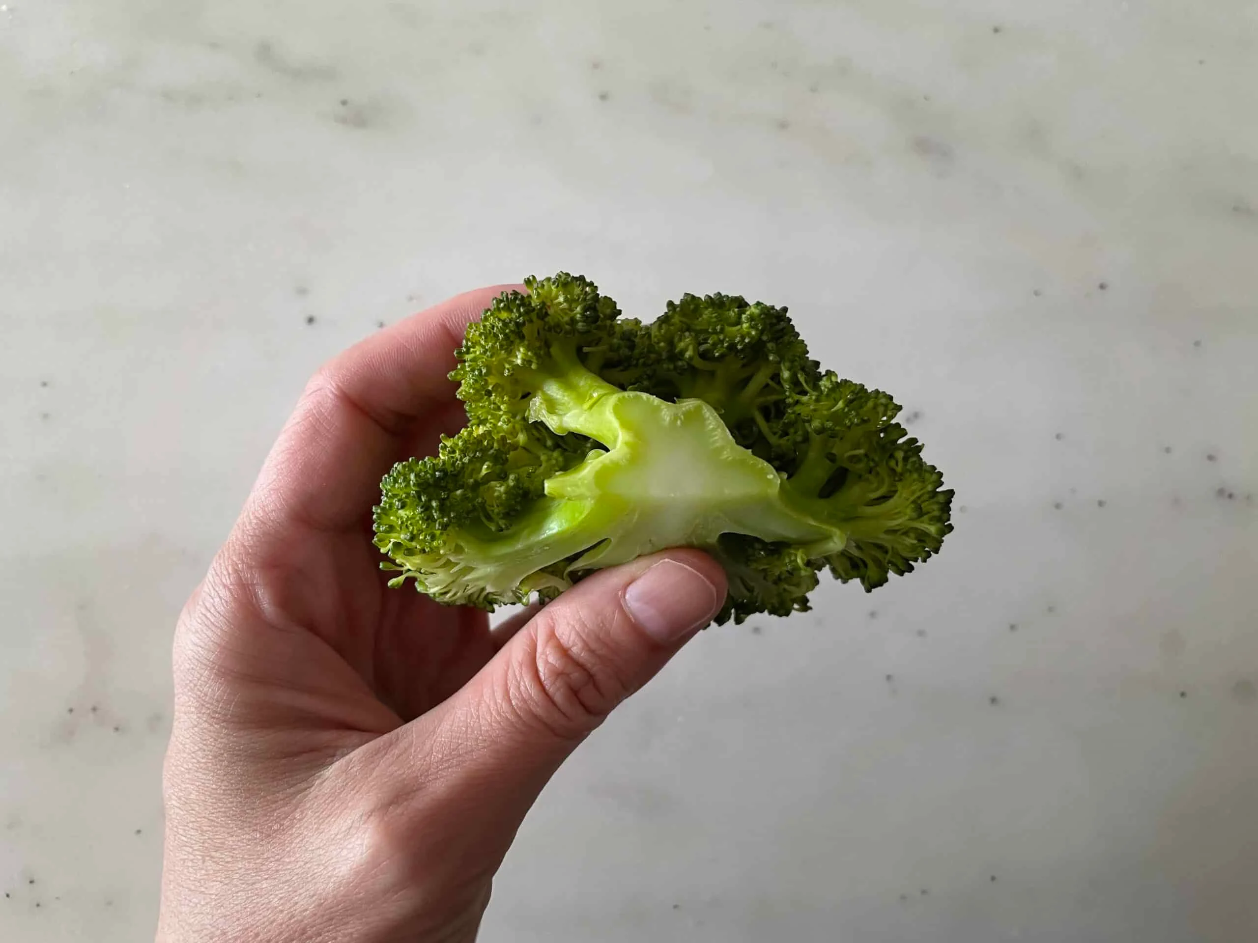 broccoli for babies starting solids