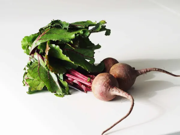 a bunch of red beets with the leaves intact before being prepared for babies starting solids