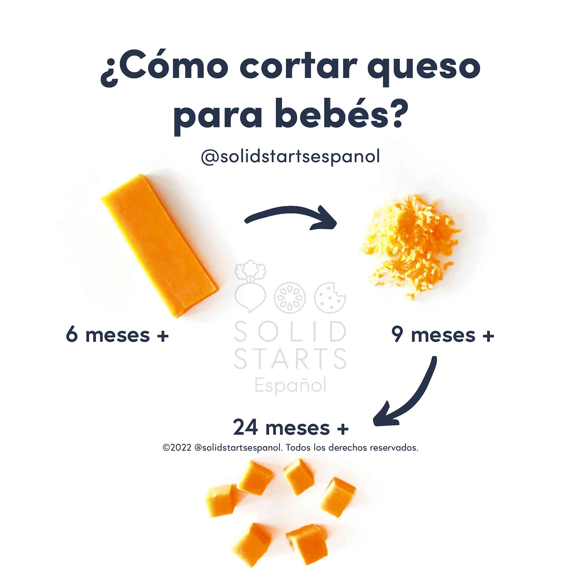 ¿Qué queso es el mejor para los bebés? Solid Starts