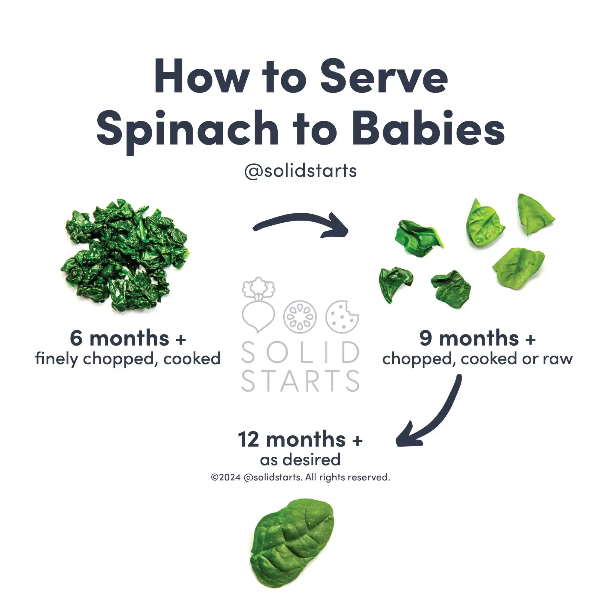 a Solid Starts infographic with the header How to Serve Spinach to Babies: finely chopped and cooked for 6 mos+, chopped, cooked or raw, for 9 mos+, and as desired for 12 months +