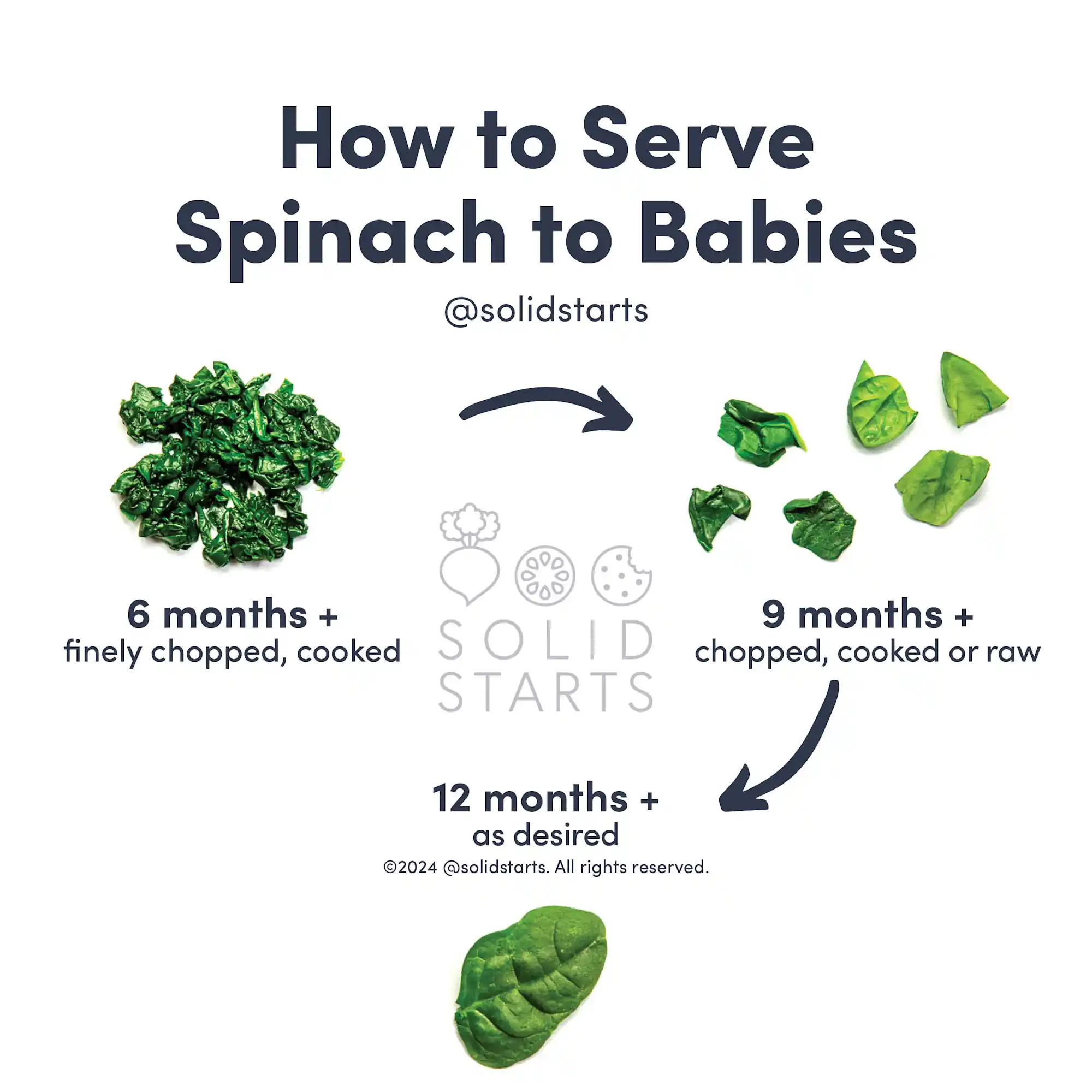 Can Babies Eat Spinach? - First Foods - Solid Starts