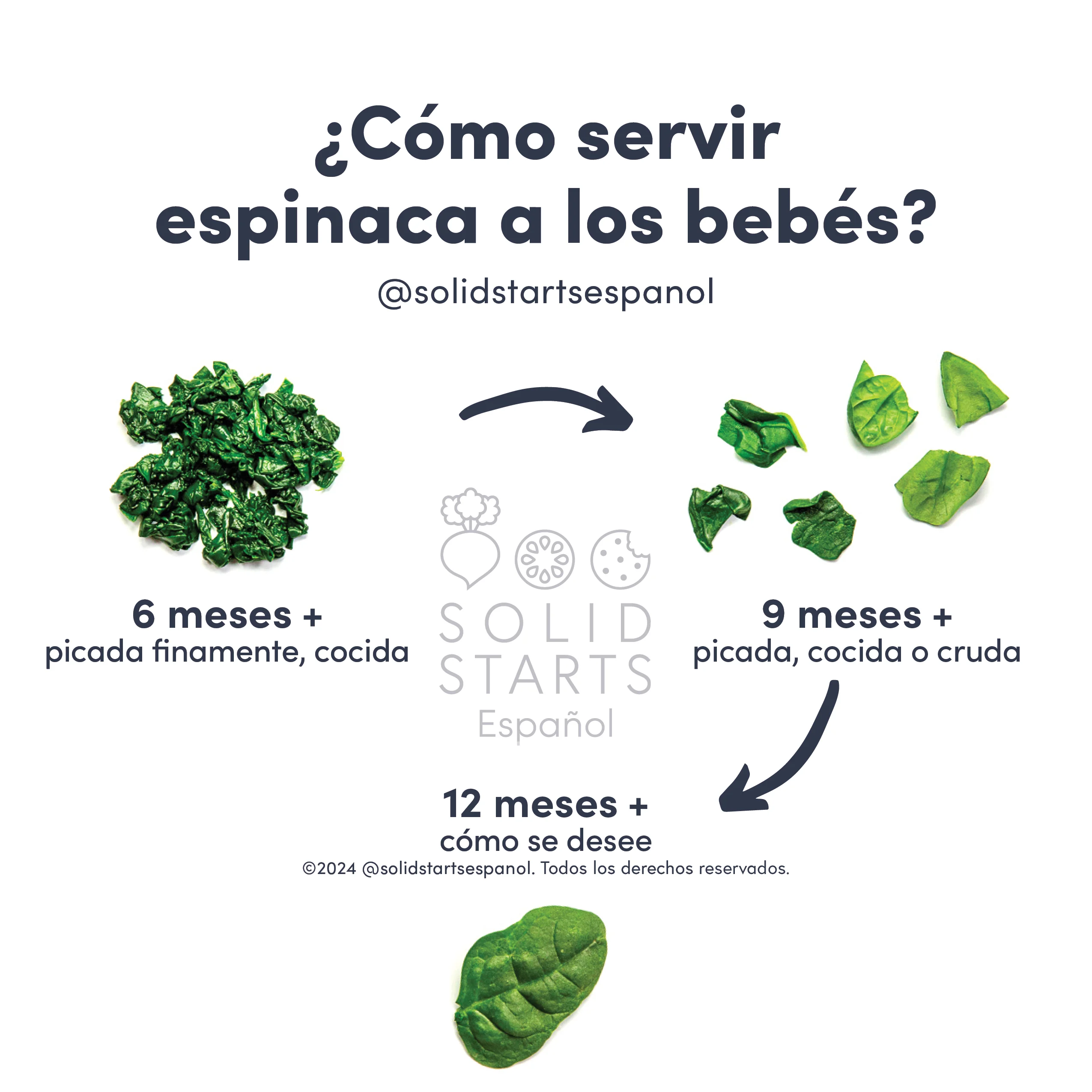 a Solid Starts infographic with the header How to Serve Spinach to Babies: finely chopped and cooked for 6 mos+, chopped, cooked or raw, for 9 mos+, and as desired for 12 months +