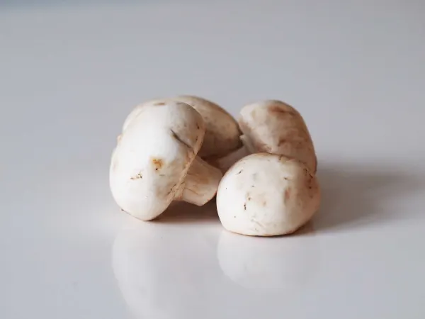 3 white button mushrooms before being prepared for babies starting solids