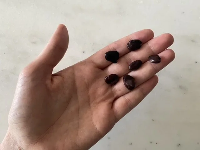 Gently flattened black beans for babies