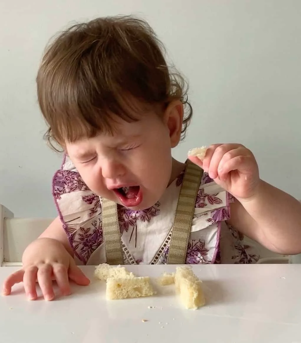 baby gags on solid food