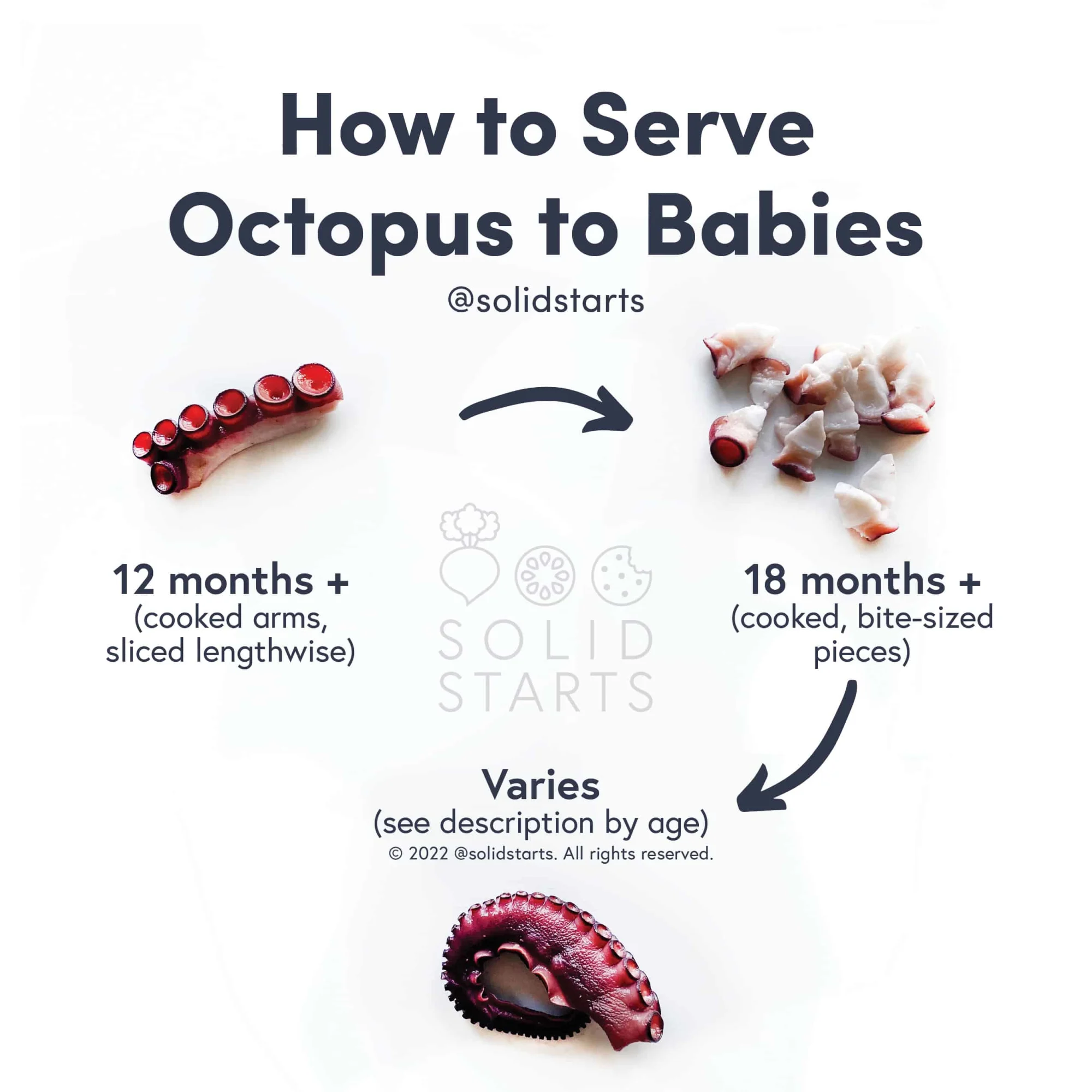a Solid Starts infographic with the header How to Serve Octopus to Babies: cooked arms sliced lengthwise for 12 mos+, cooked bite-size pieces for 18 mos+, and small whole tentacles varies depending on child's eating ability