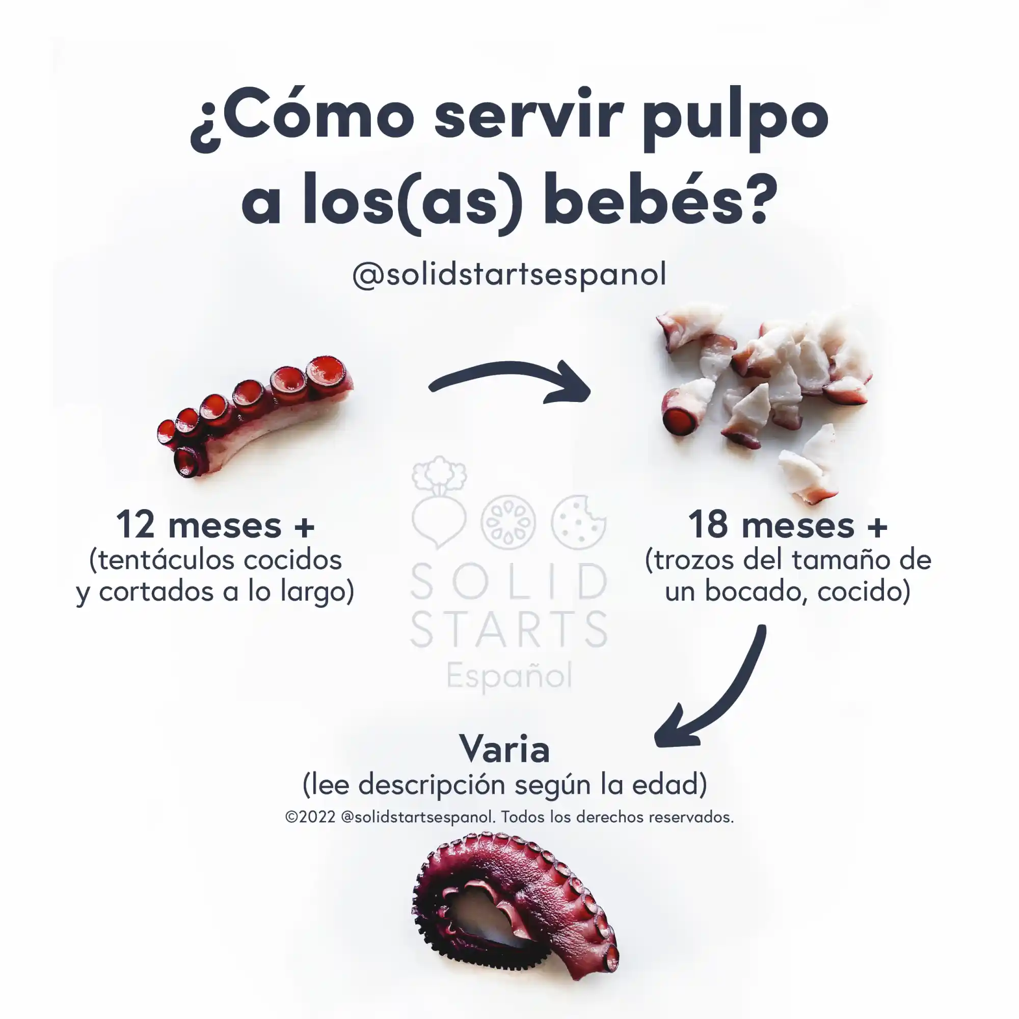 a Solid Starts infographic with the header How to Serve Octopus to Babies: cooked arms sliced lengthwise for 12 mos+, cooked bite-size pieces for 18 mos+, and small whole tentacles varies depending on child's eating ability