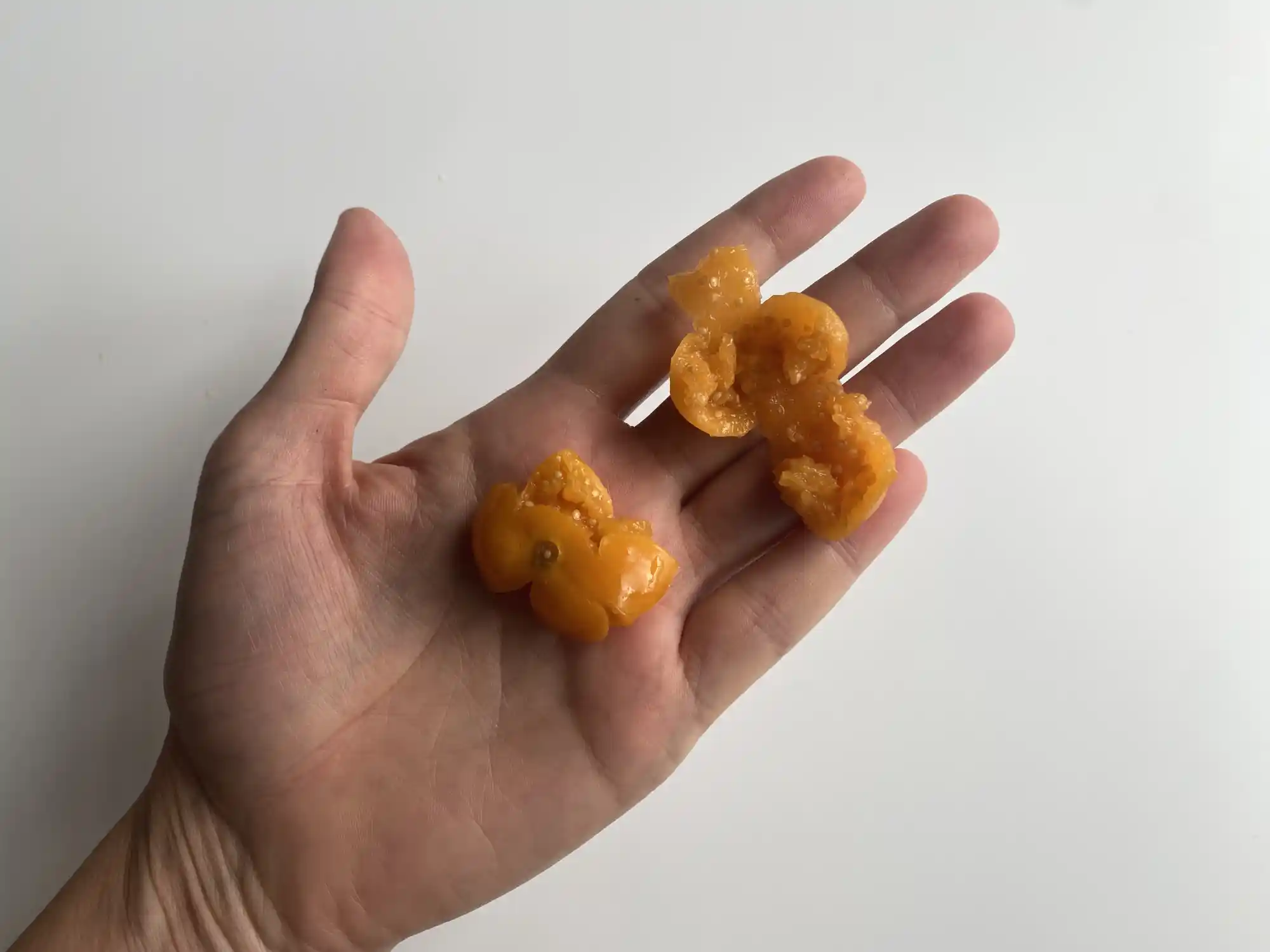 a hand holding a smashed goldenberry for toddlers 12 months+