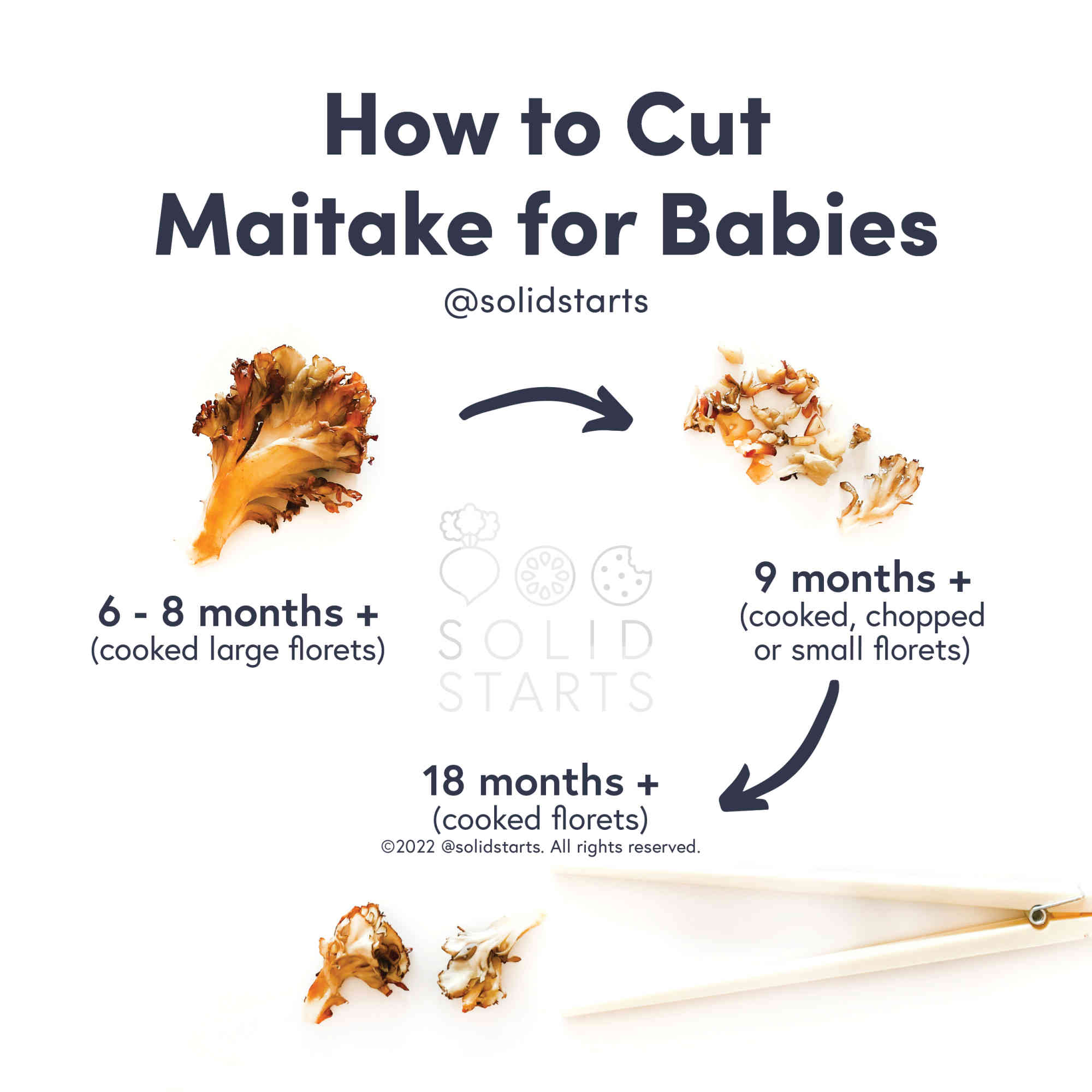 Straw Mushroom for Babies - When Can Babies Eat Straw Mushrooms - Solid  Starts