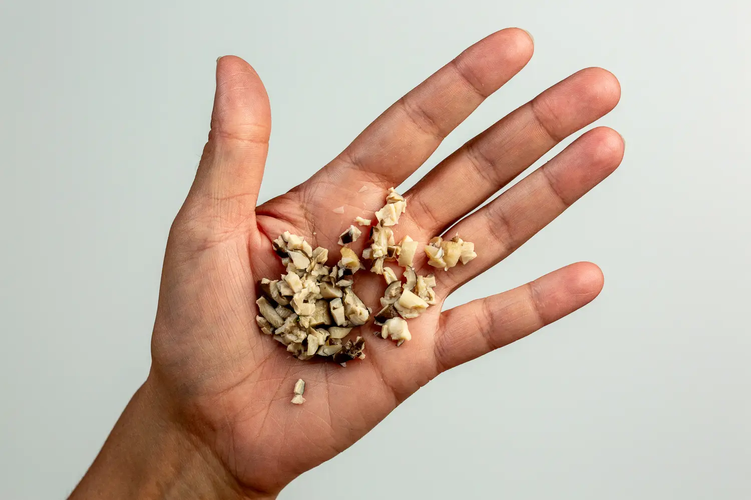 a hand holding a pile of finely chopped cooked straw mushroom