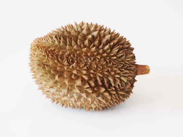 a durian before being prepared for babies starting solids