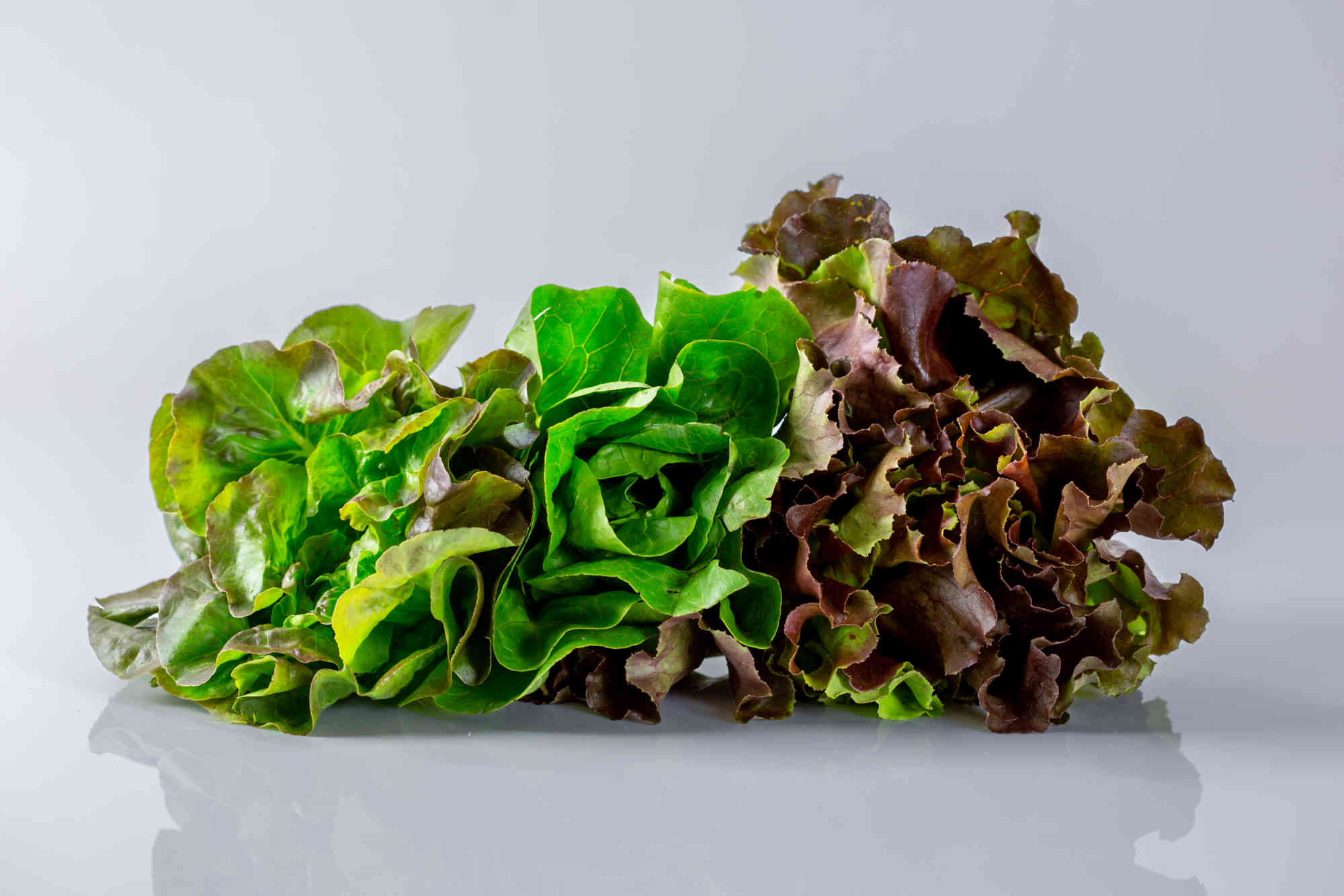 9 Tips to Avoid Illness From Salad Greens