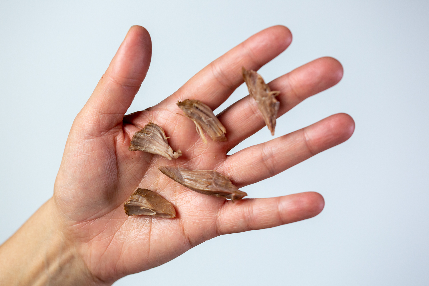 a hand holding five bite-sized shreds of lamb meat