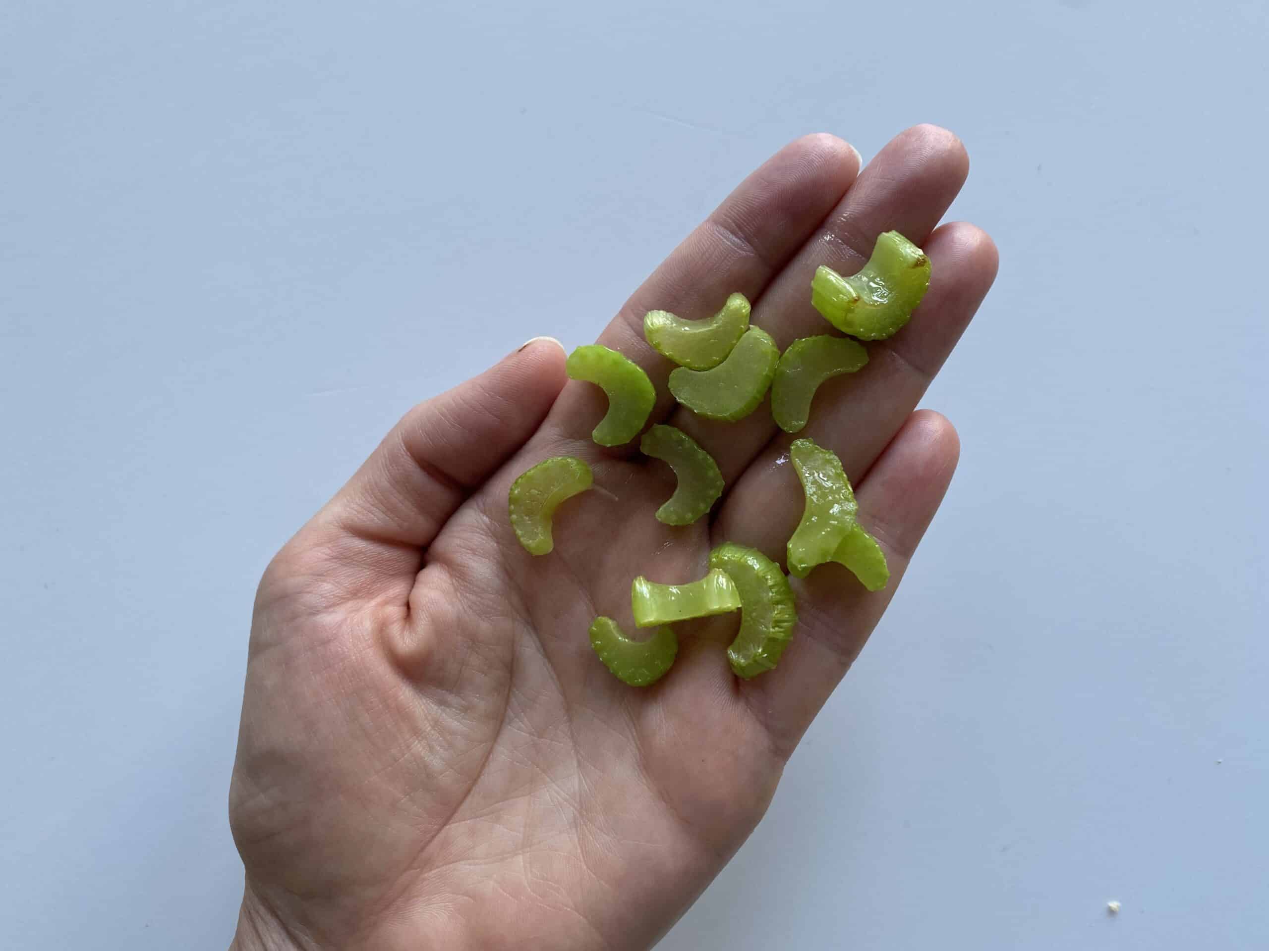 a hand holding twelve thin half moon slivers of celery for 12 mos+