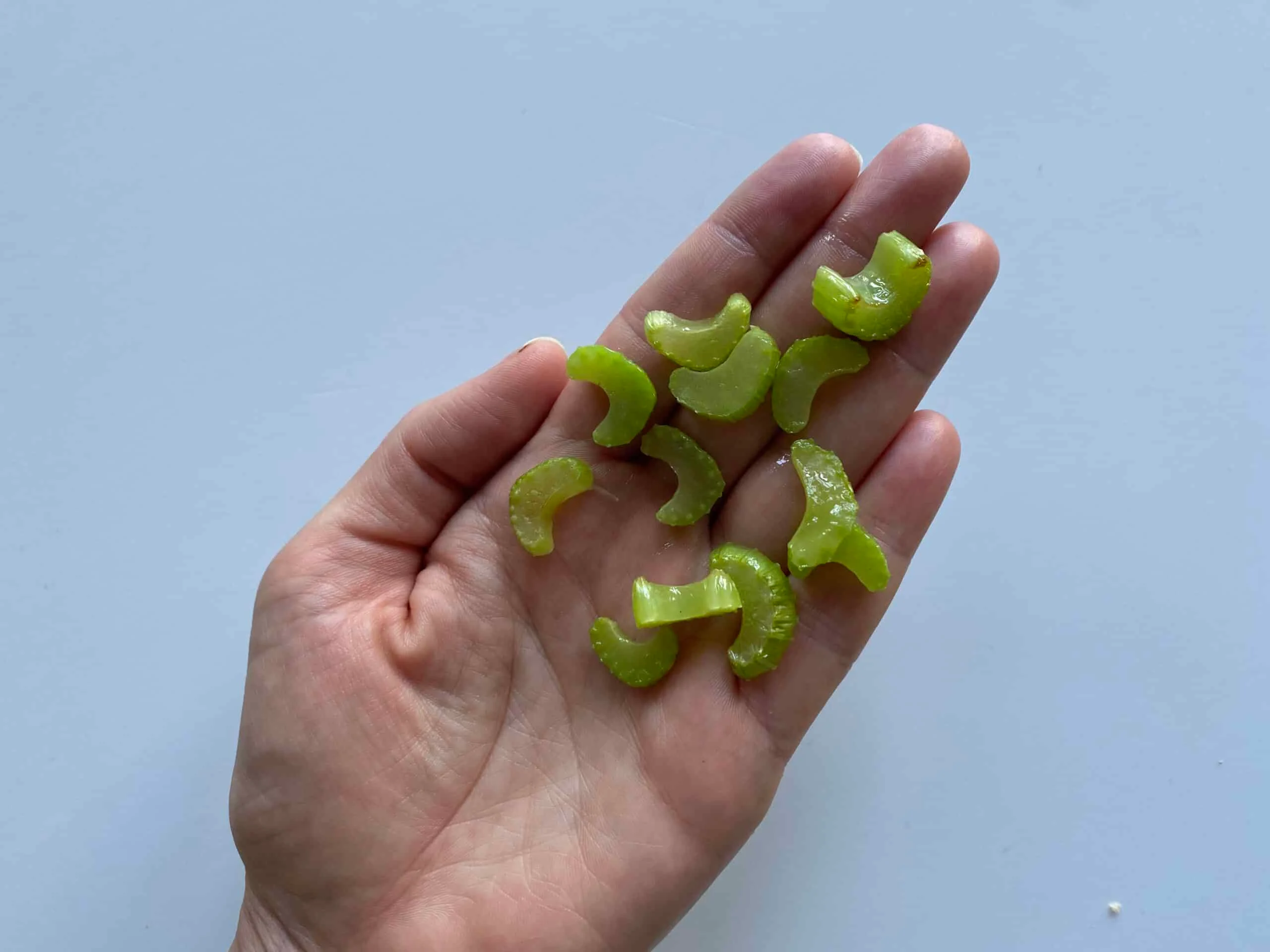 celery half moon slivers Solid Starts