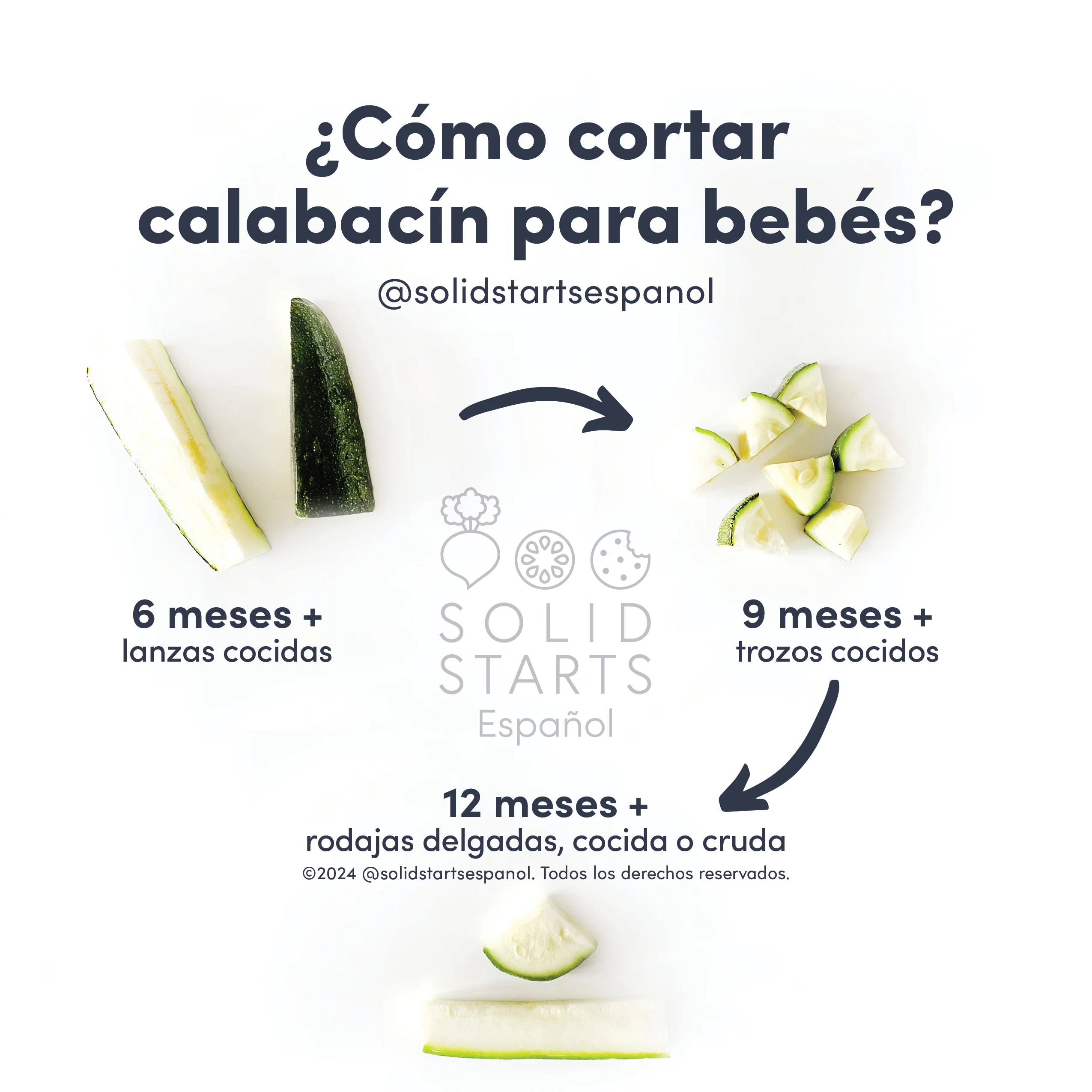 an infographic showing how to cut zucchini for babies by age: cooked spears for 6 months+, cooked bite size pieces for 9 months+, cooked or raw for 12 months+