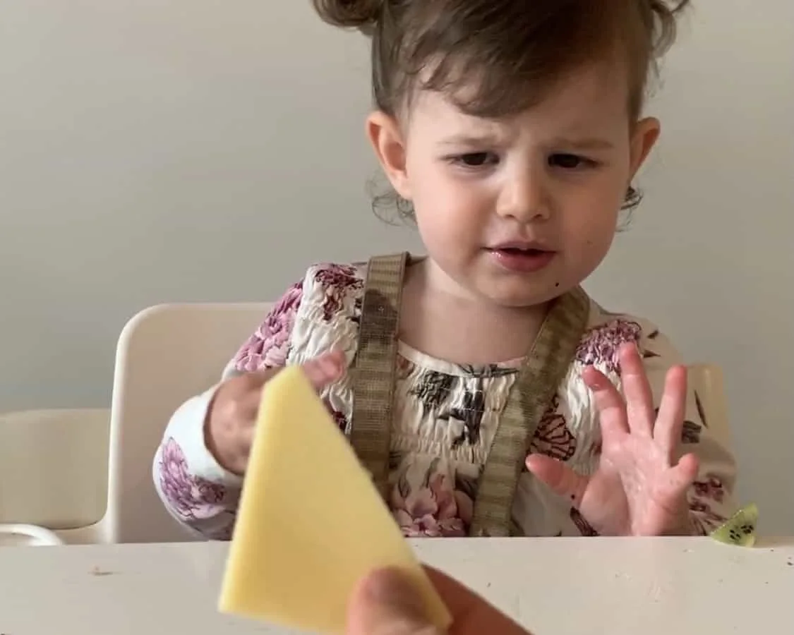 a toddler sees parent holding up a piece of pineapple and holds up her hands, looking worried