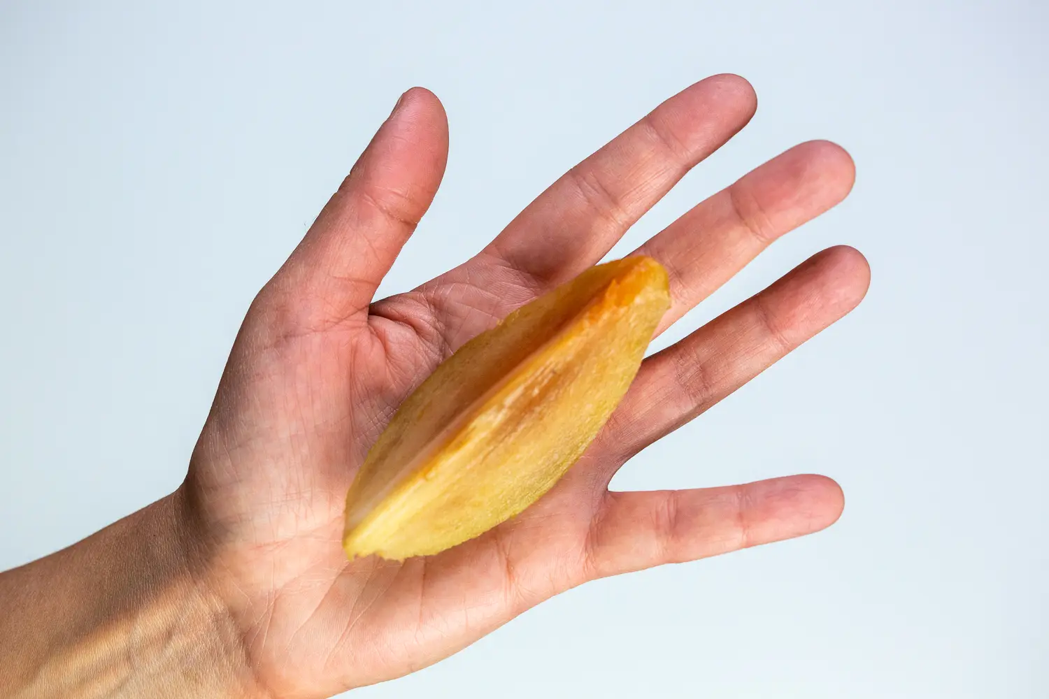 a photograph of a hand holding a large wedge of peeled de-seeded sapodilla