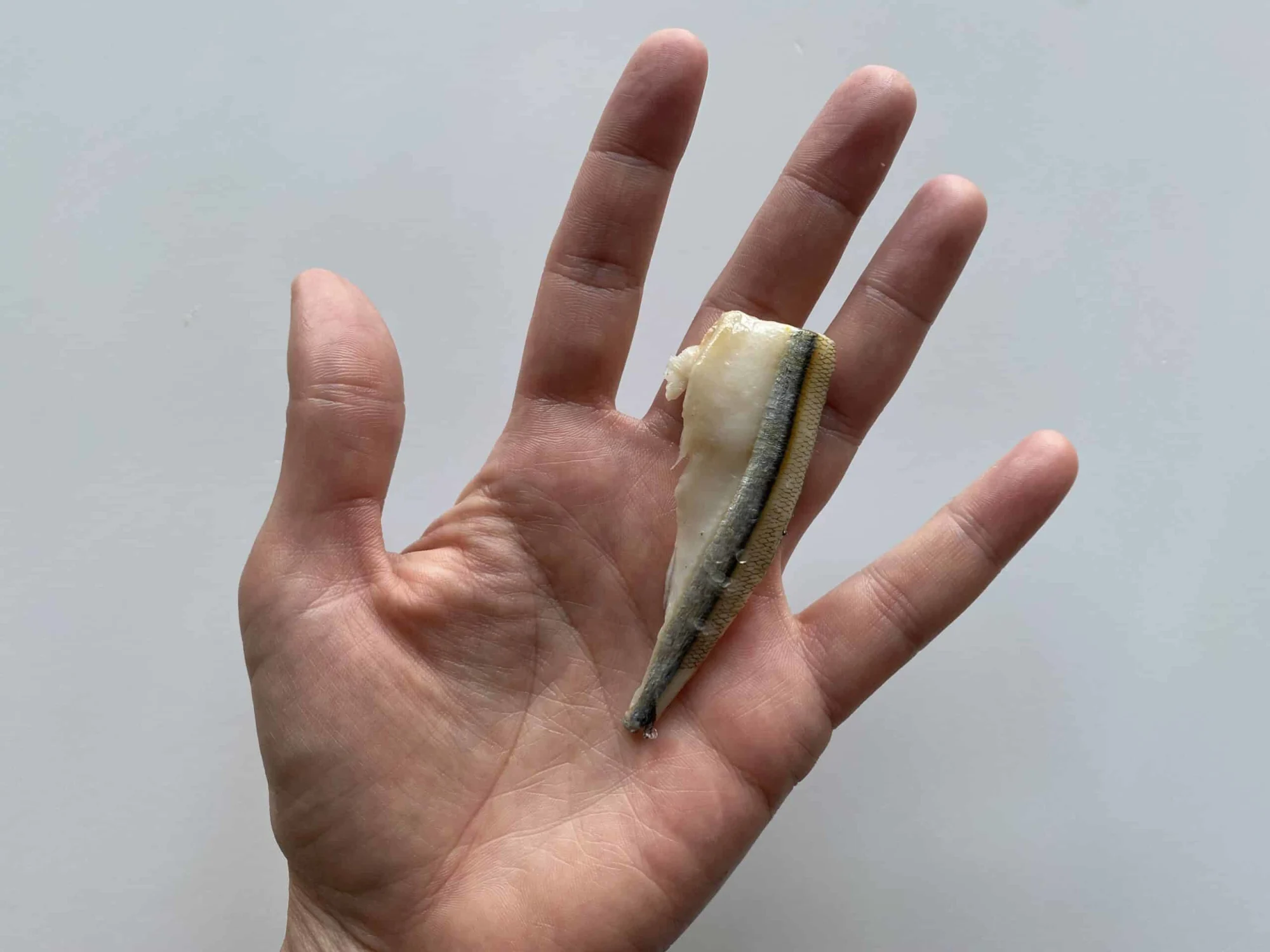 a hand holding a fresh anchovy fillet for babies 6 months+